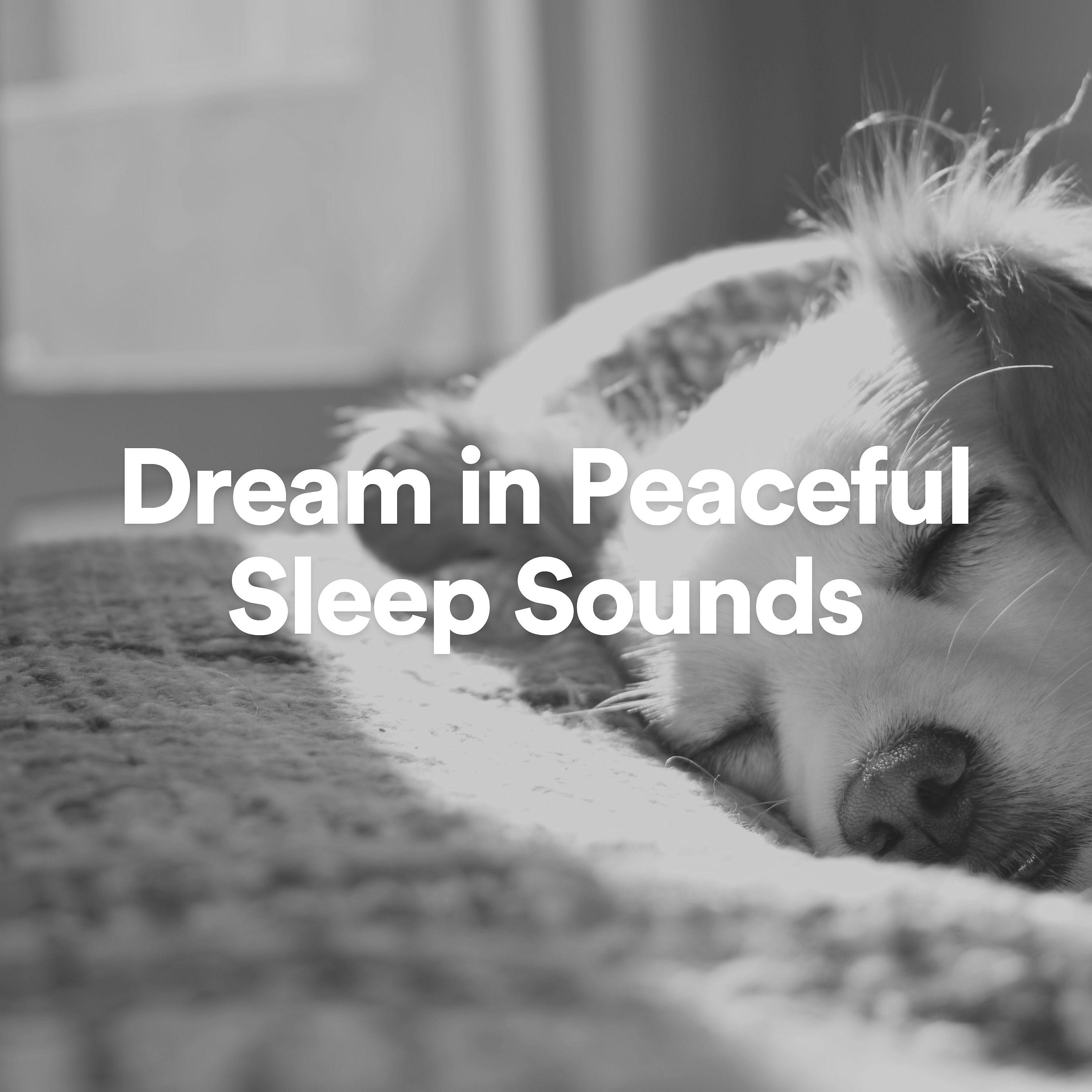 Постер альбома Dream in Peaceful Sleep Sounds