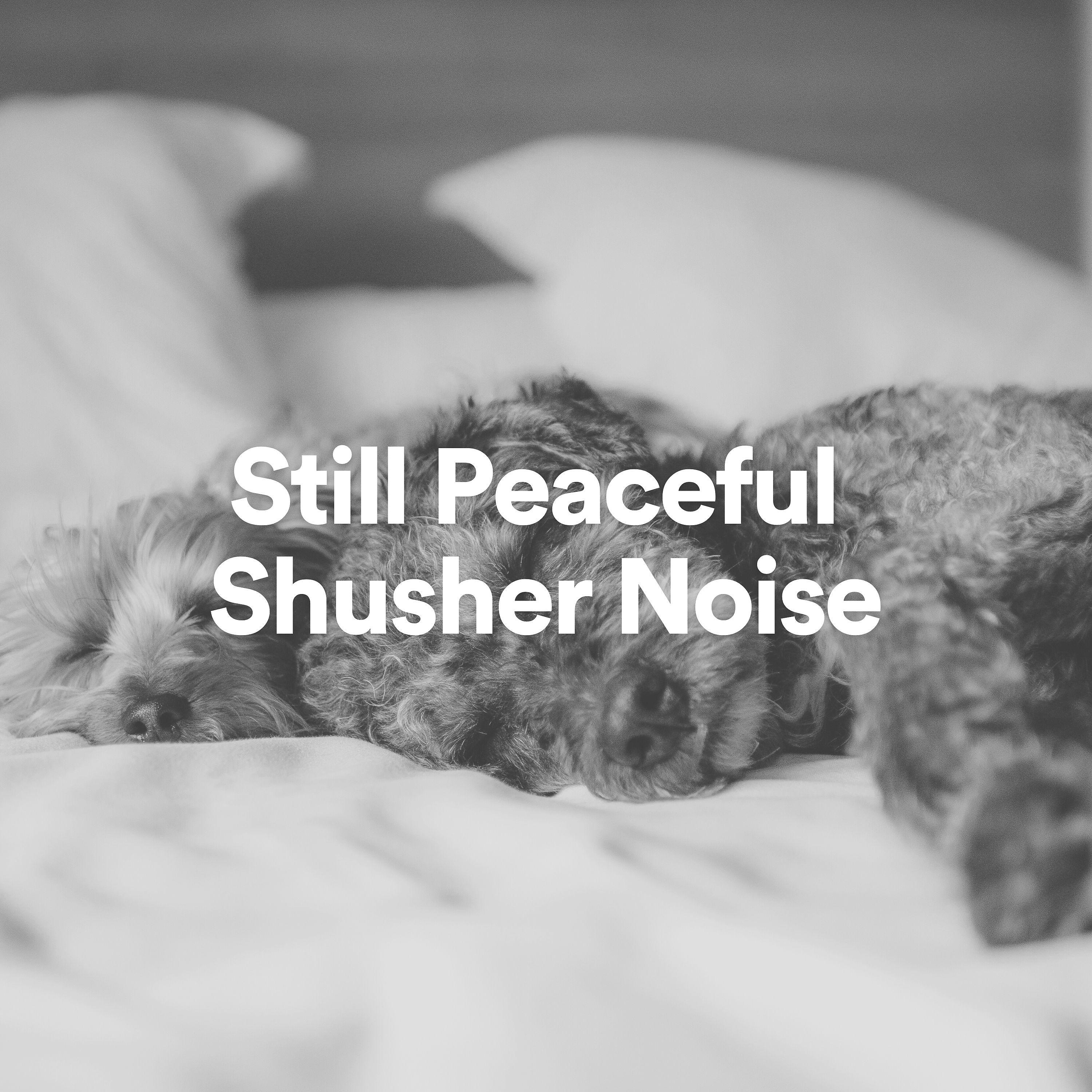 Постер альбома Still Peaceful Shusher Noise