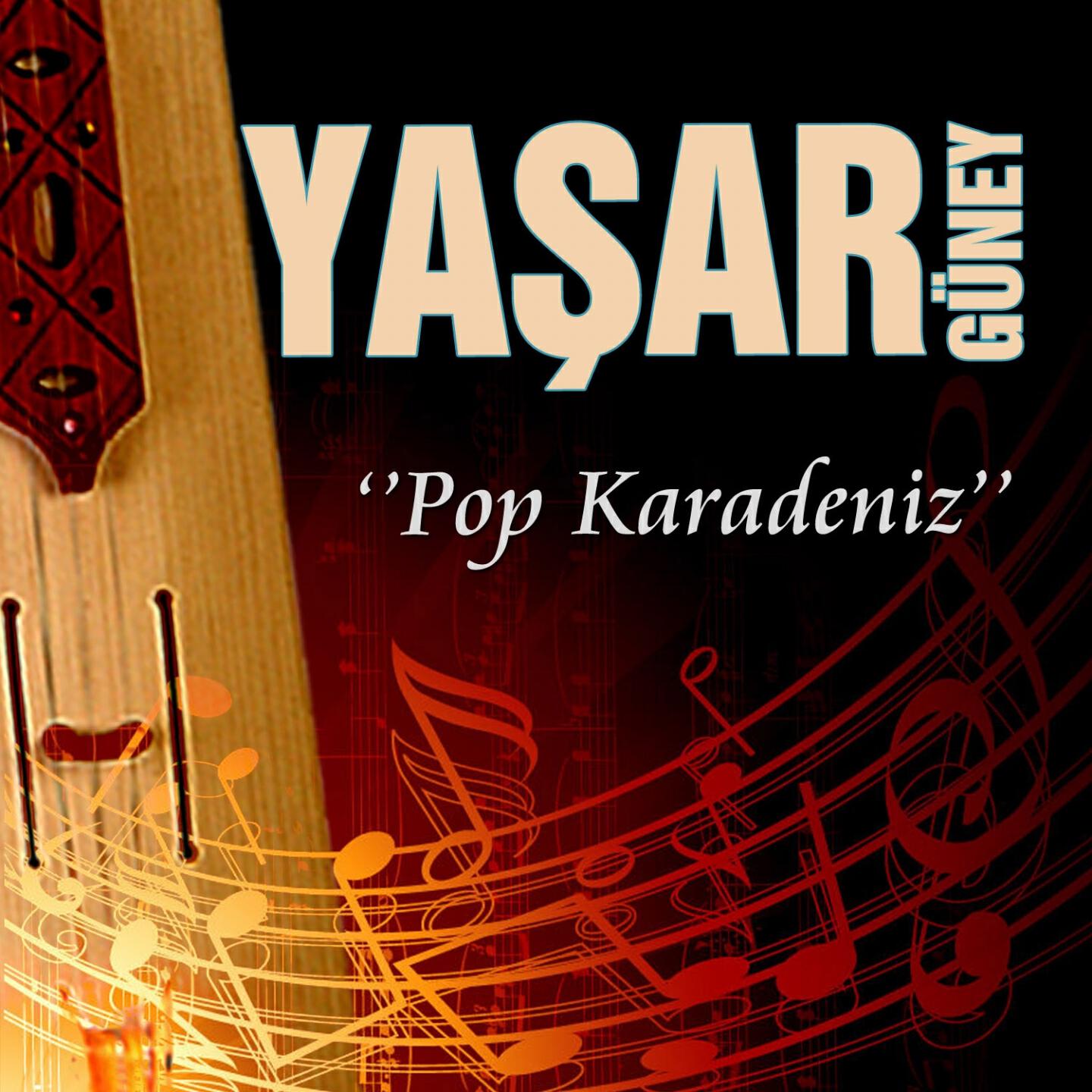 Yaşar Güney - Yok Yok Senin Olamam