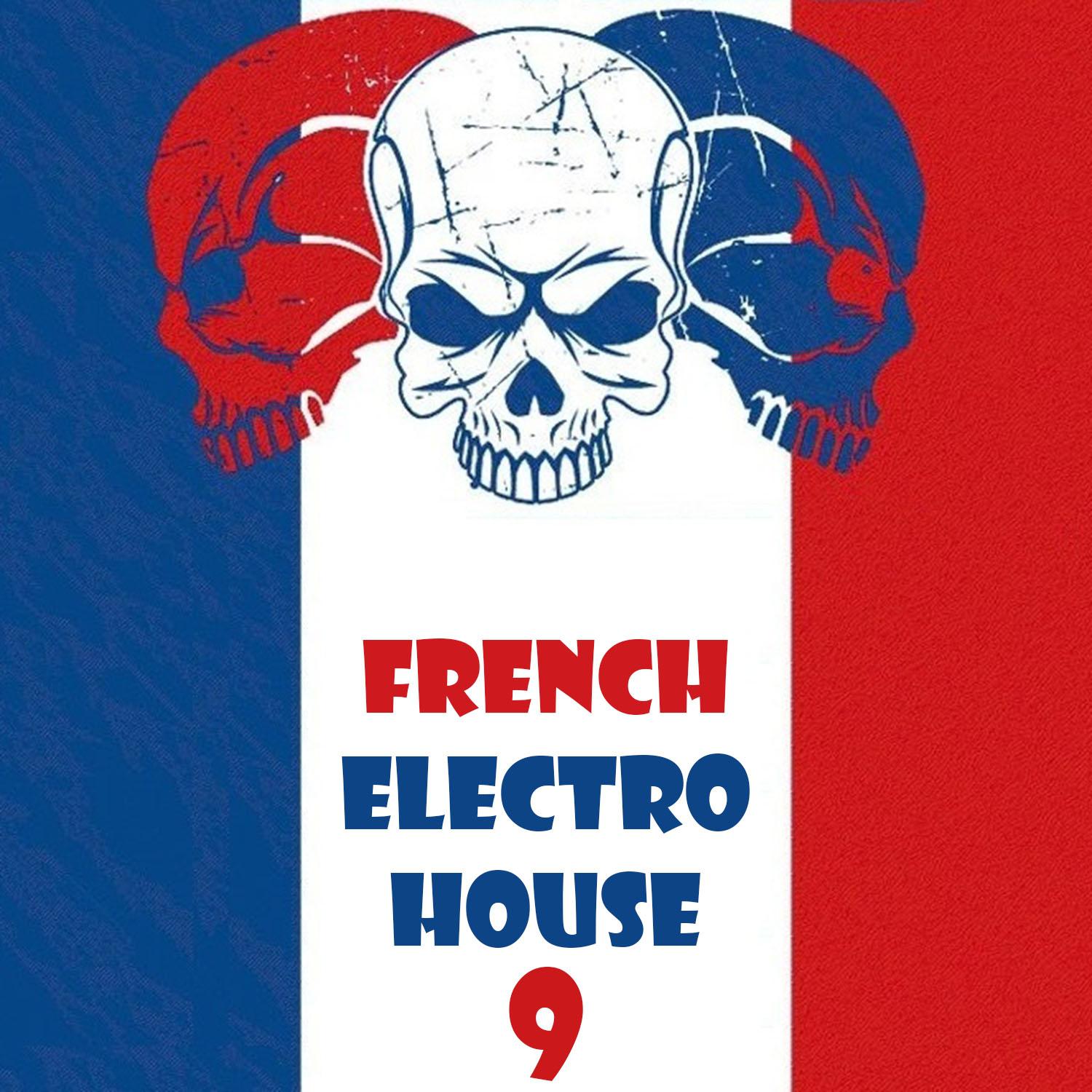 Постер альбома French Electro House, Vol. 9