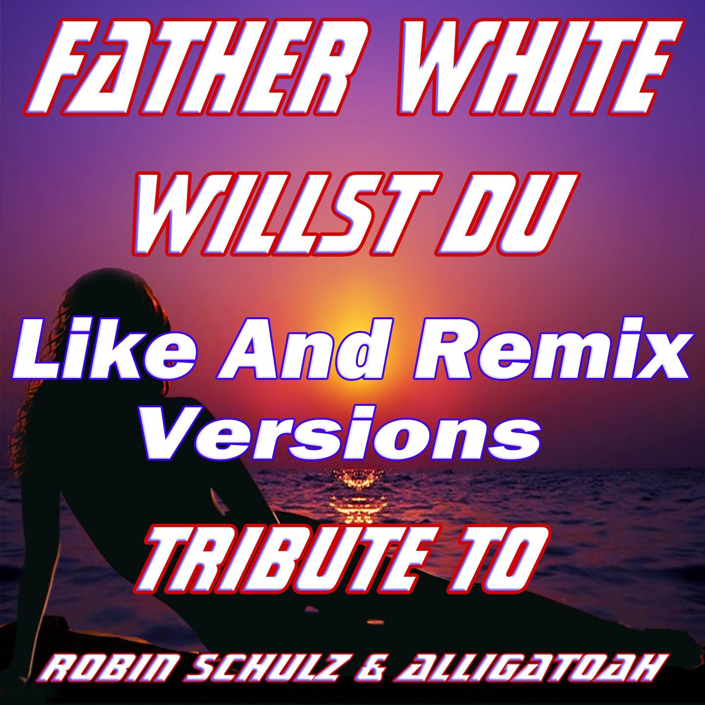 Постер альбома Willst Du: Tribute To Robin Schulz