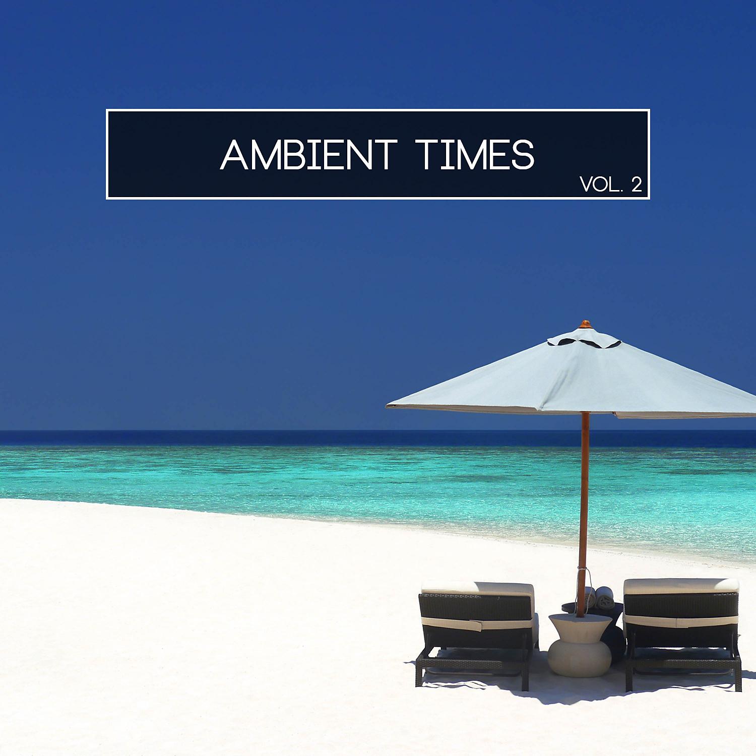 Постер альбома Ambient Times, Vol. 2
