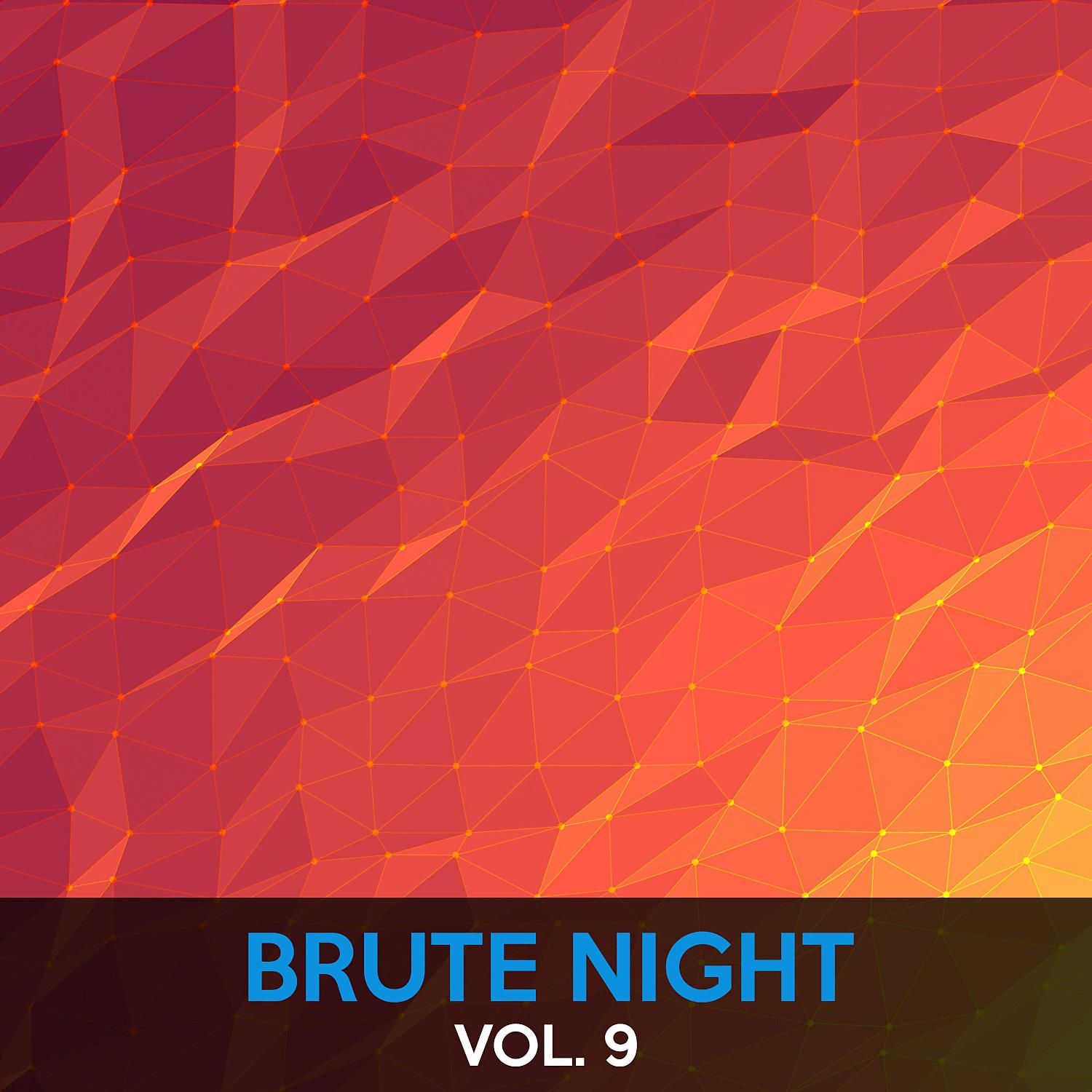 Постер альбома Brute Night, Vol. 9