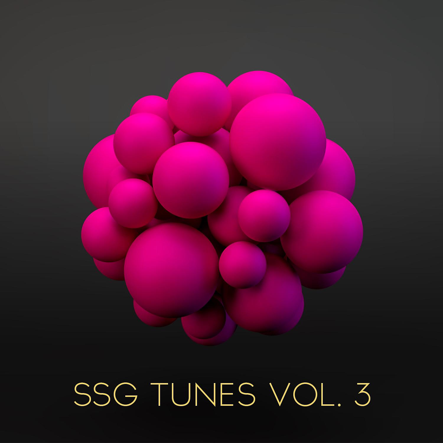 Постер альбома Ssg Tunes, Vol. 3