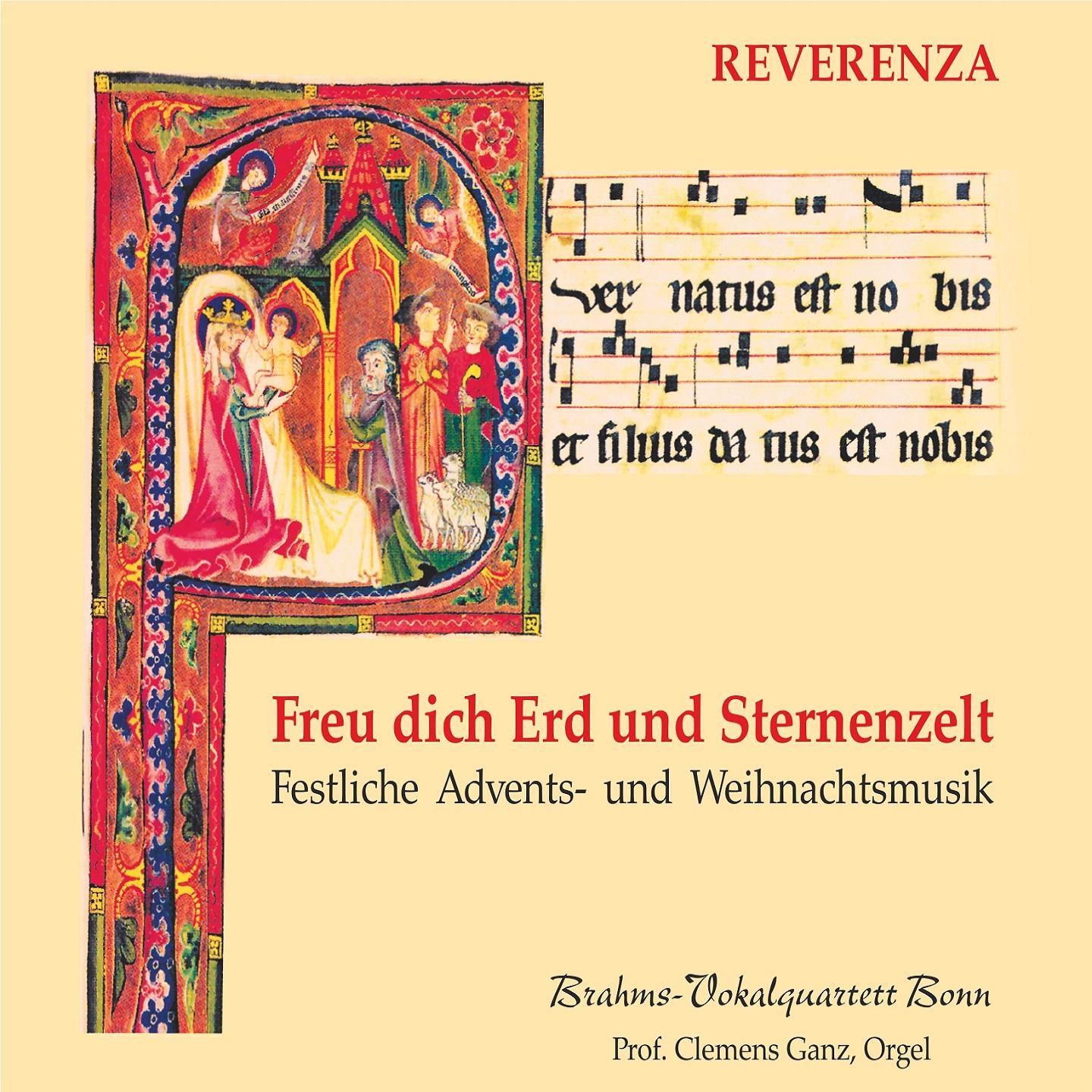 Постер альбома Freu dich Erd und Sternenzelt - Festliche Advents- und Weihnachtsmusik
