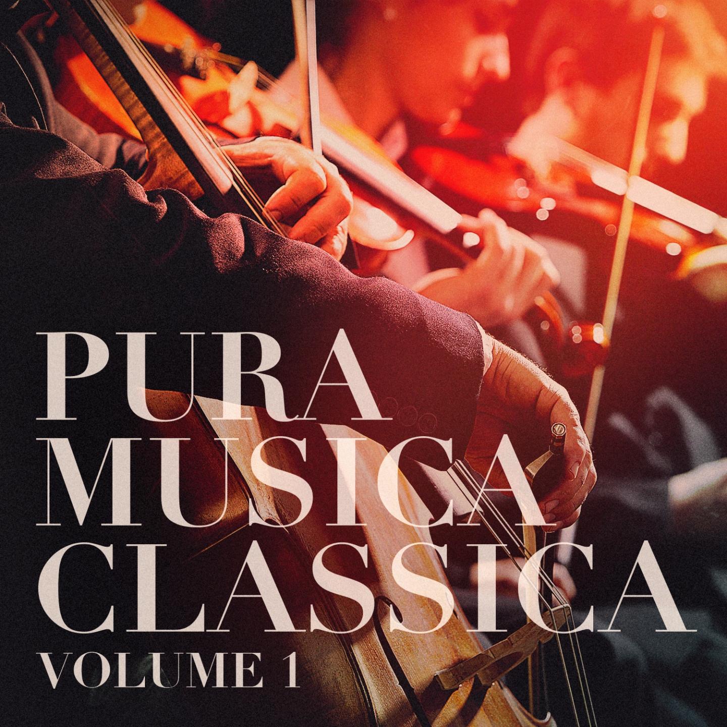 Постер альбома Pura Musica Classica, Vol. 1