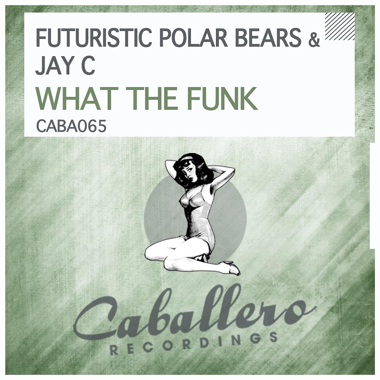Futuristic Polar Bears - What the Funk (Marco Petralia Remix)