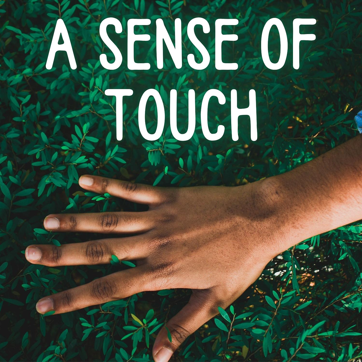 Постер альбома A Sense of Touch