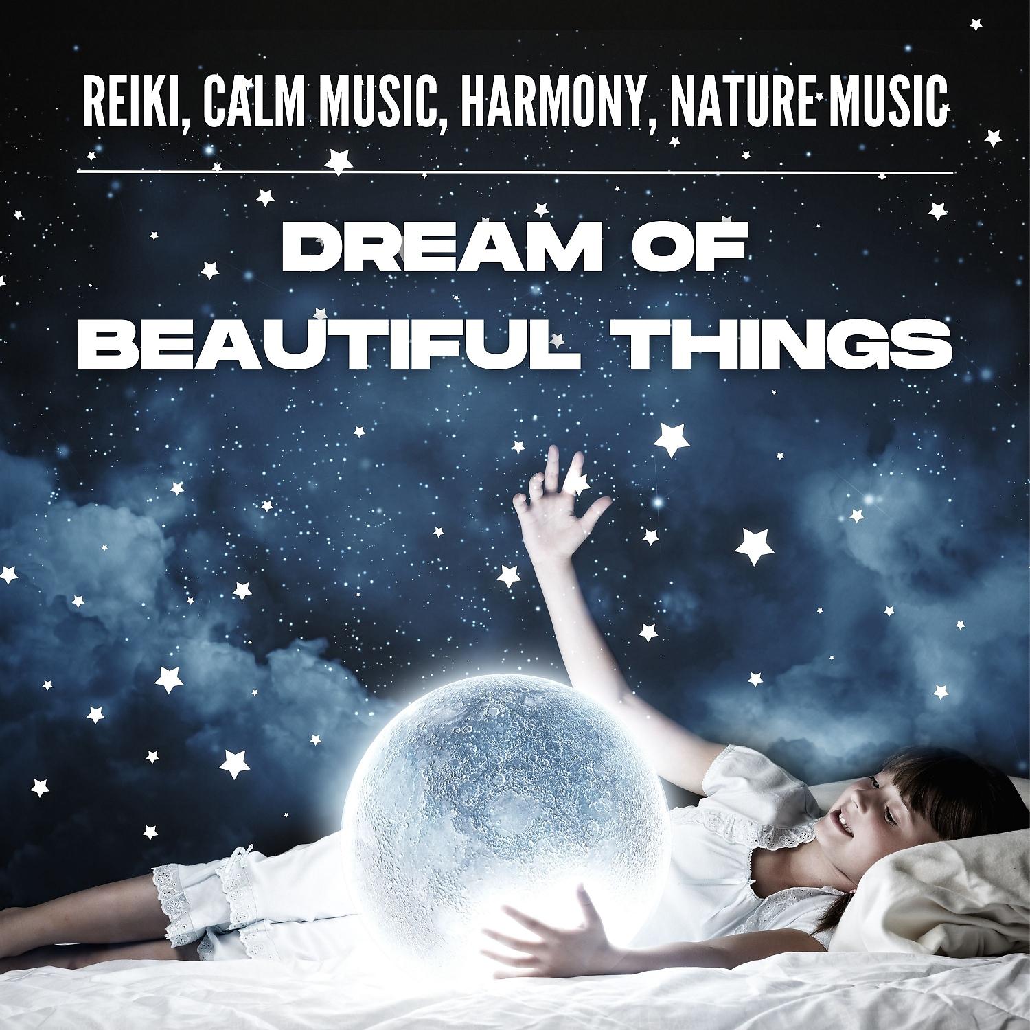 Постер альбома Dream of Beautiful Things