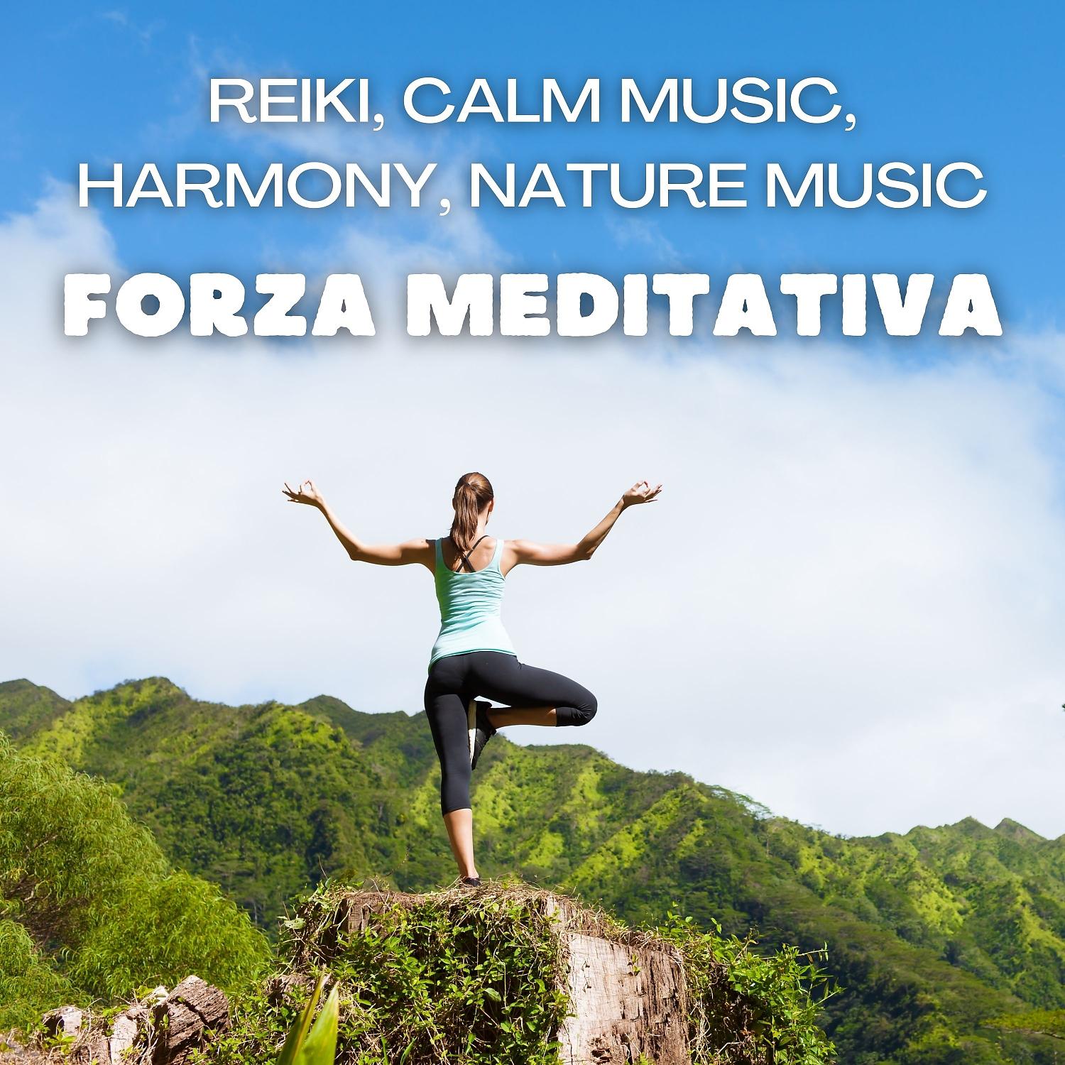 Постер альбома Forza meditativa