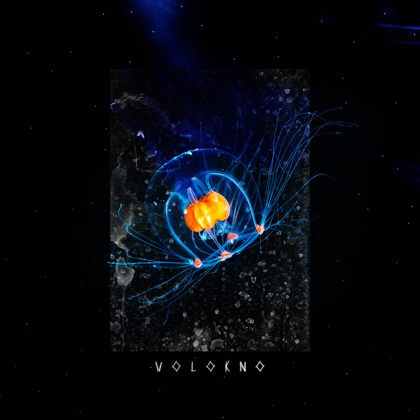 Постер альбома Volokno