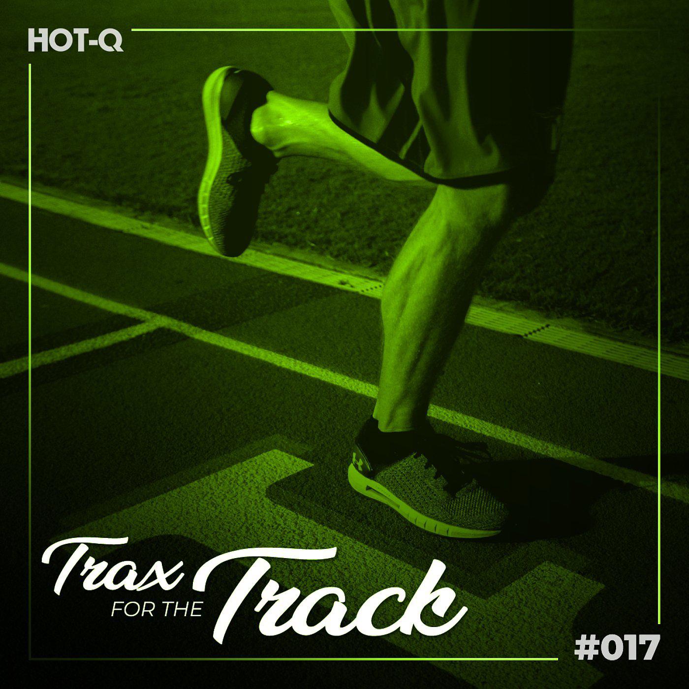 Постер альбома Trax For The Track 017