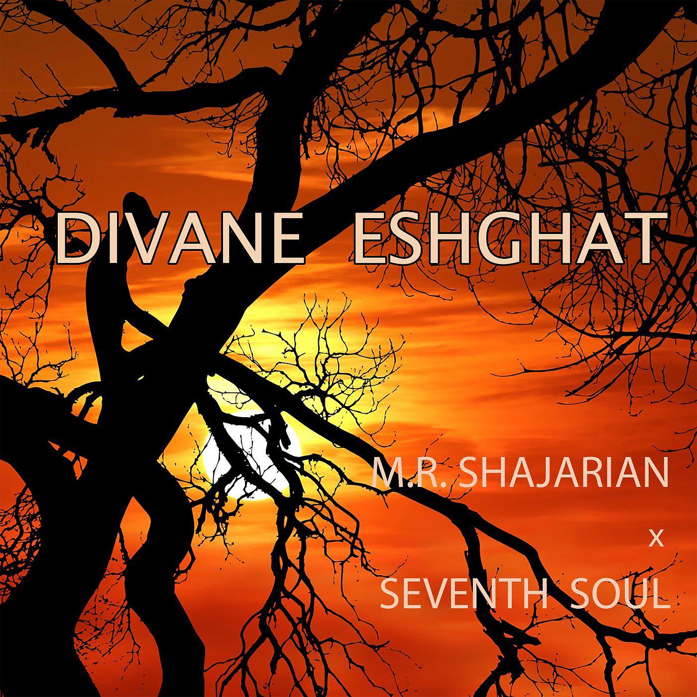 Постер альбома Divane Eshghat