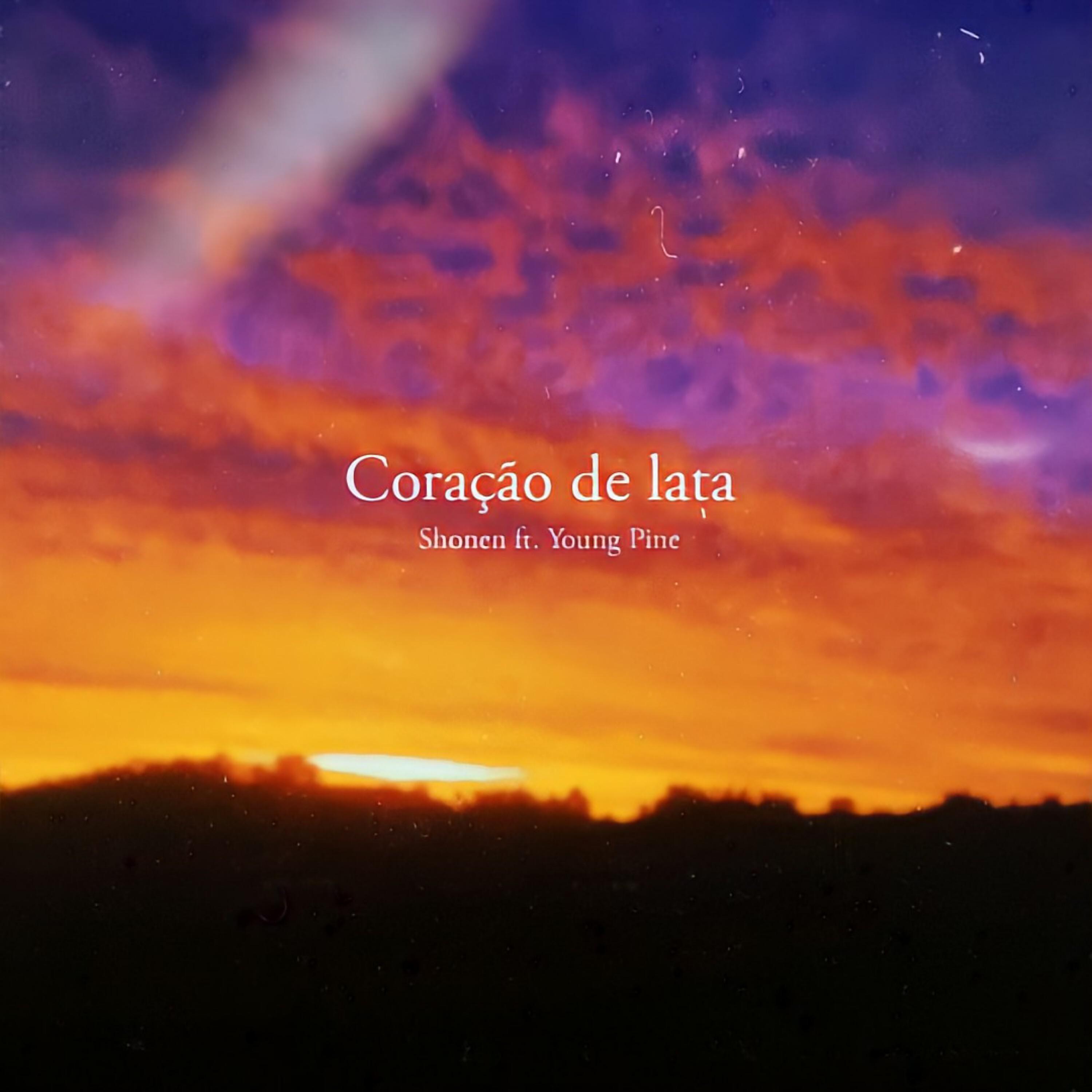Постер альбома Coração de Lata