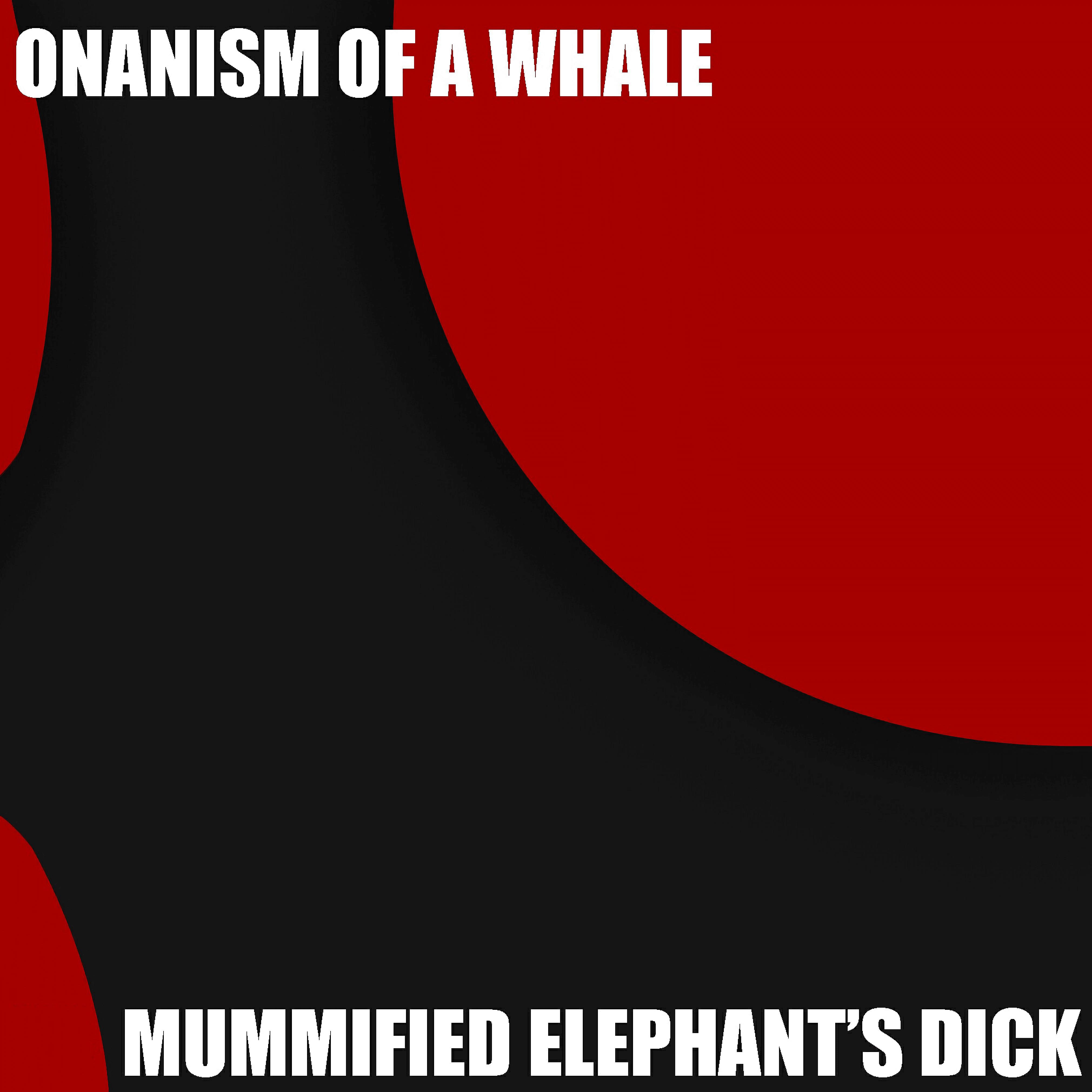 Постер альбома Onanism of a Whale
