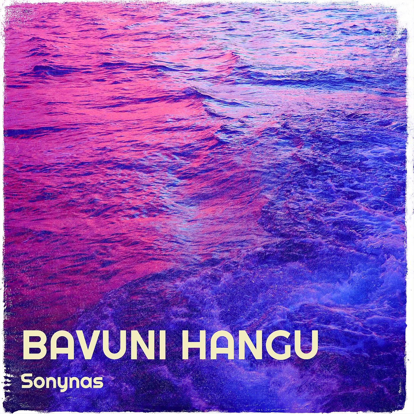 Постер альбома Bavuni Hangu