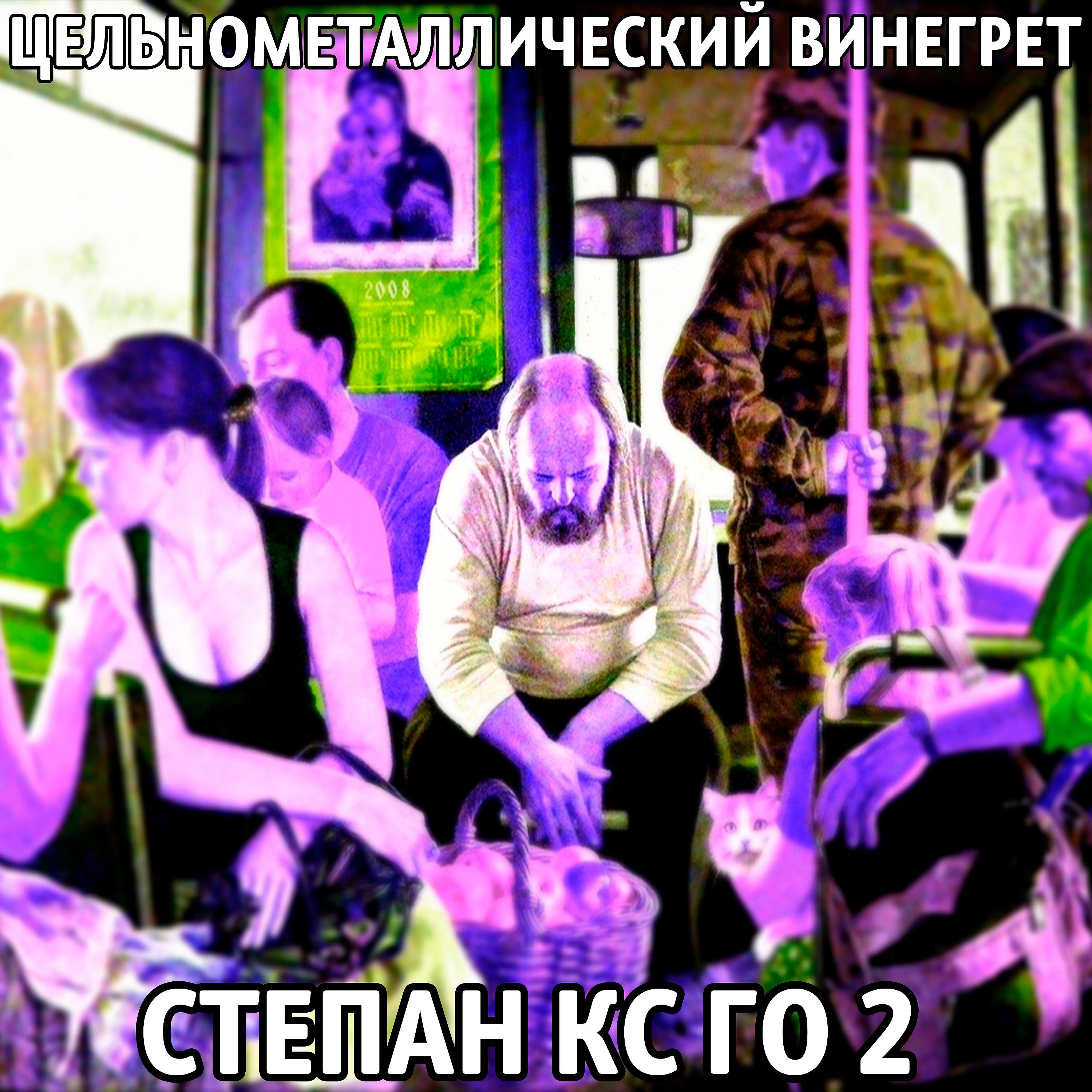 Постер альбома Степан кс го 2