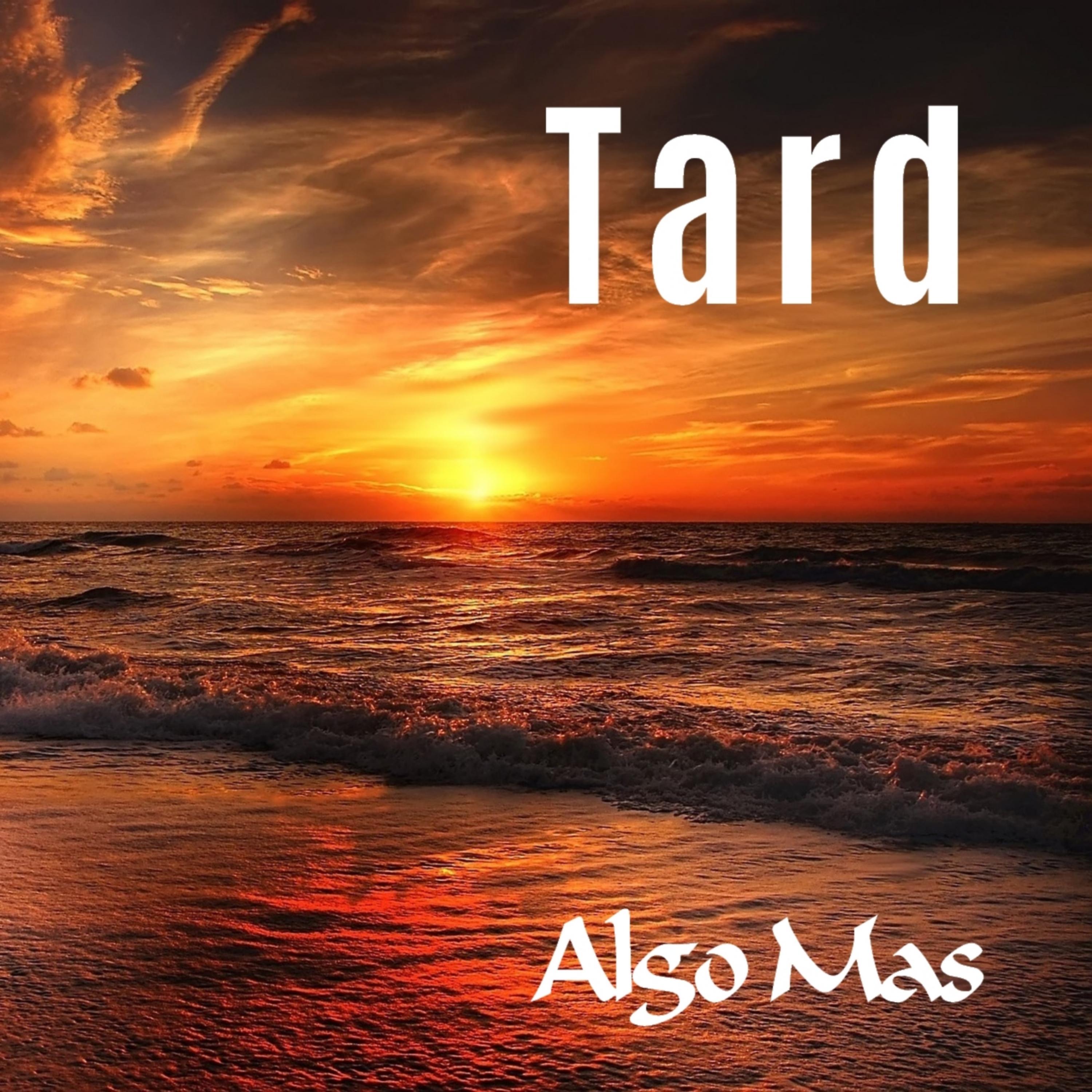 Постер альбома Tard