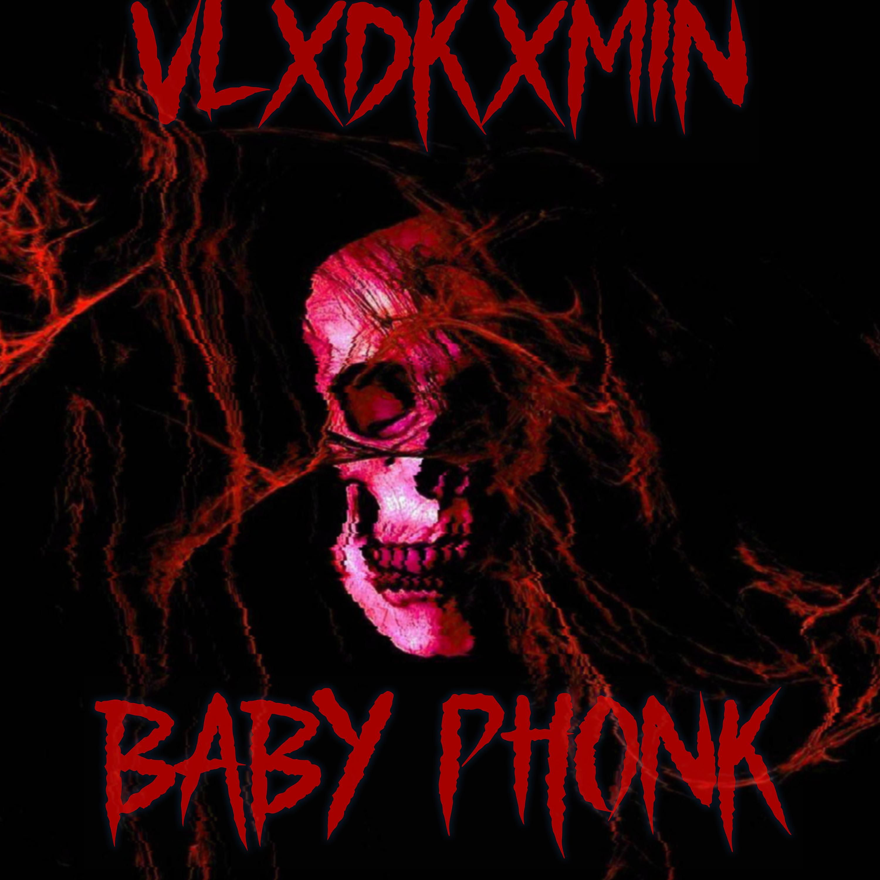 Постер альбома Baby Phonk