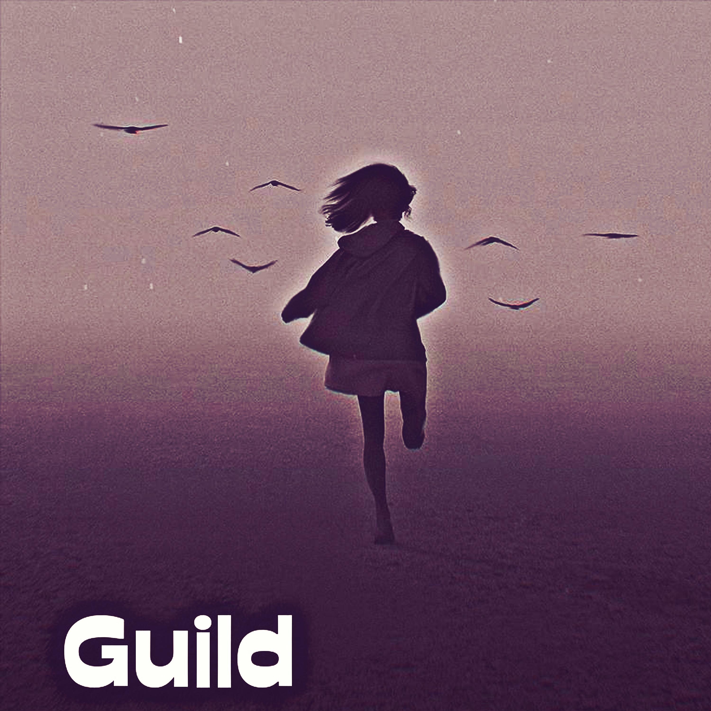 Постер альбома Guild