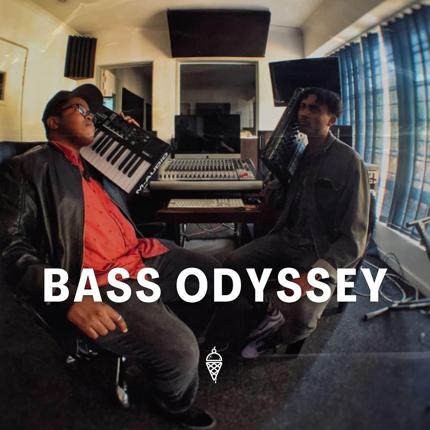 Постер альбома Best of Bass Odyssey on MudPie