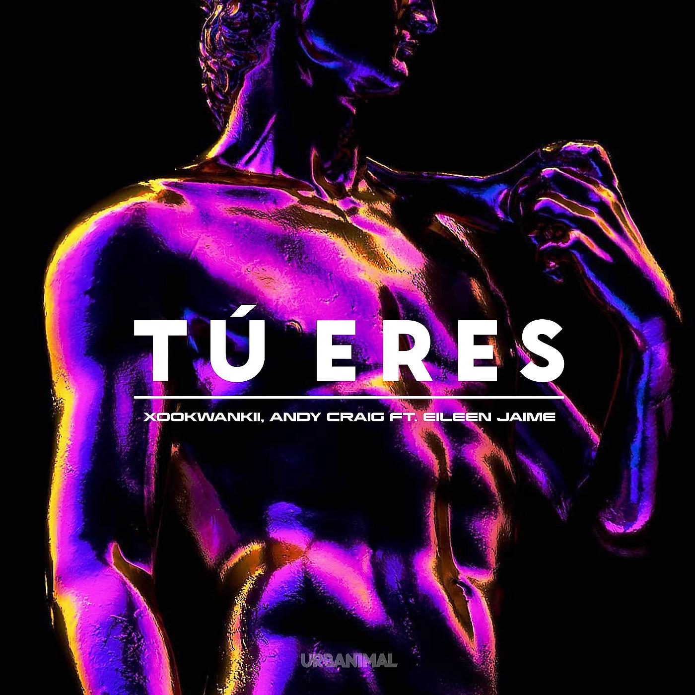 Постер альбома Tú Eres (Xookwankii Remix)