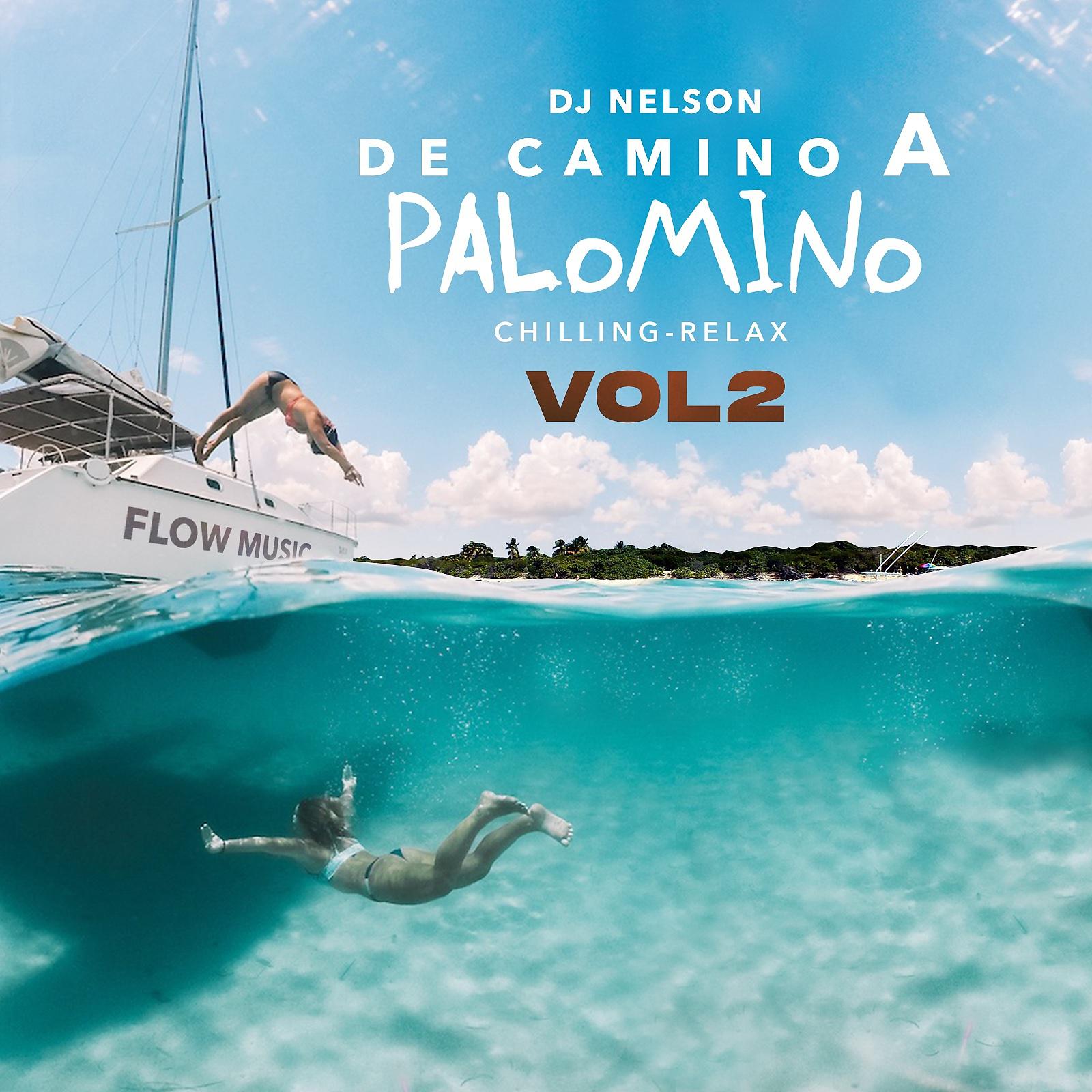 Постер альбома De Camino a Palomino, Vol. 2