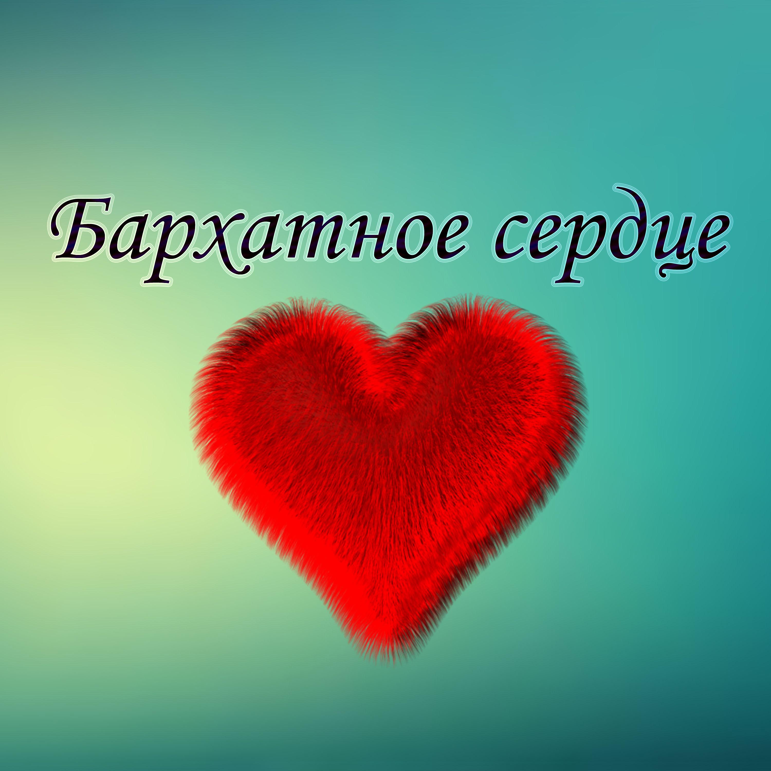 Постер альбома Бархатное сердце