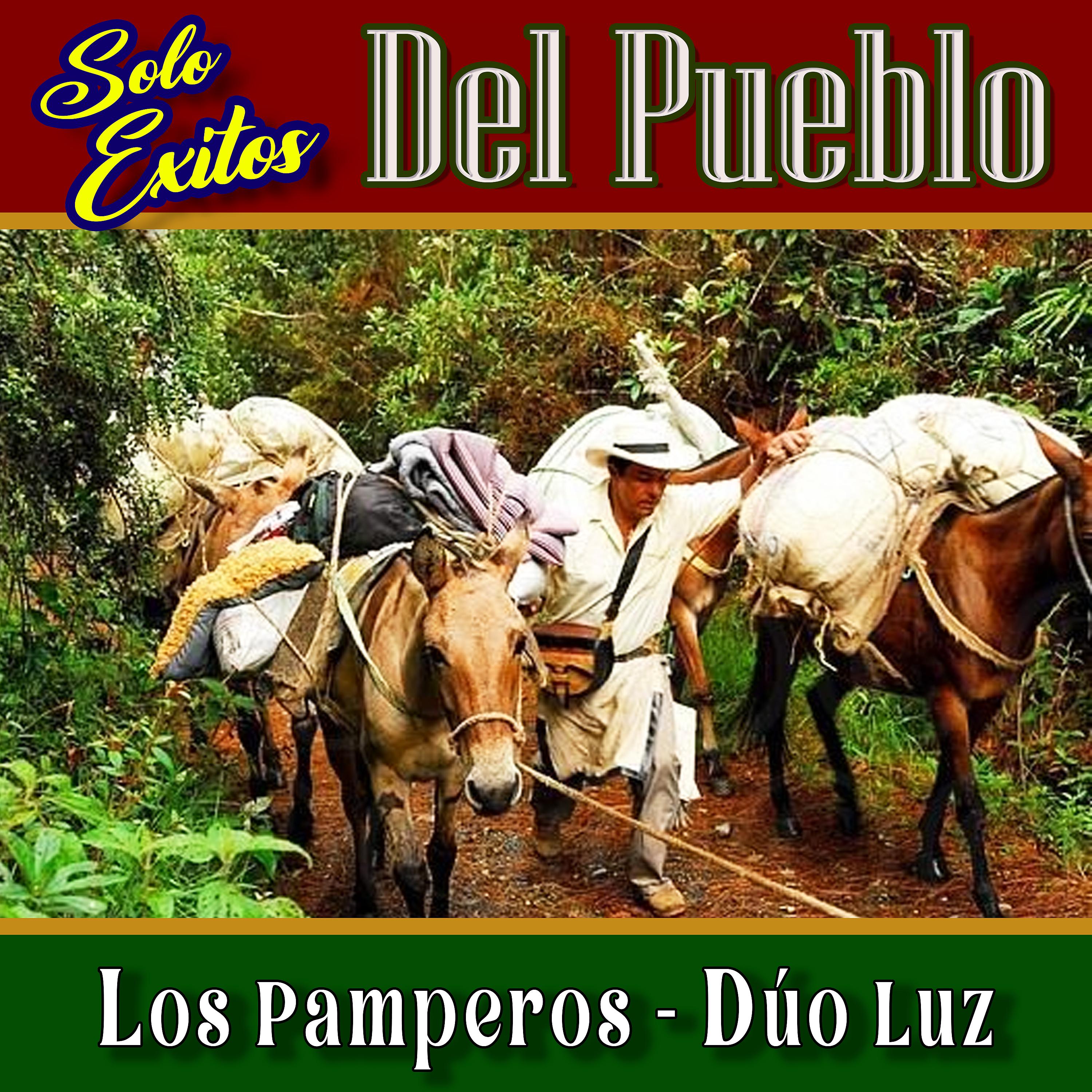 Постер альбома Solo Exitos del Pueblo