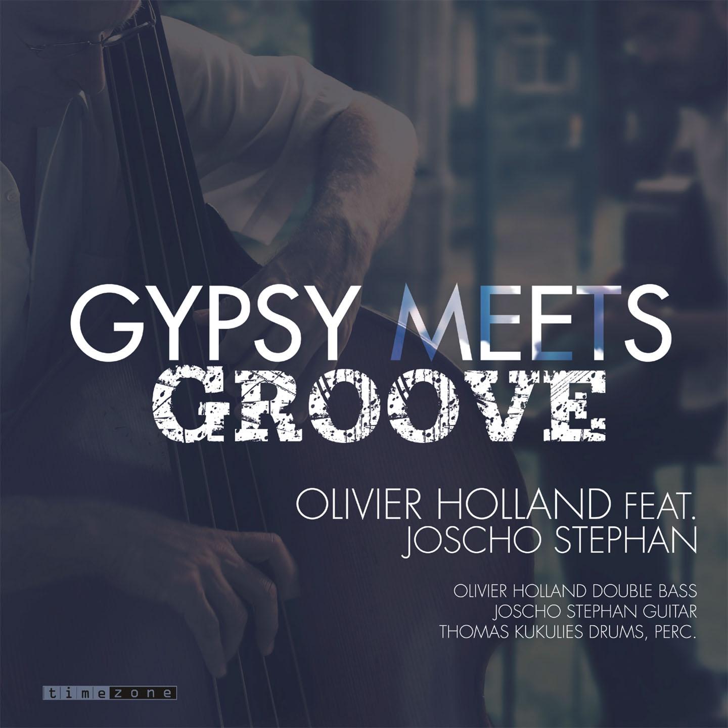 Постер альбома Gypsy Meets Groove