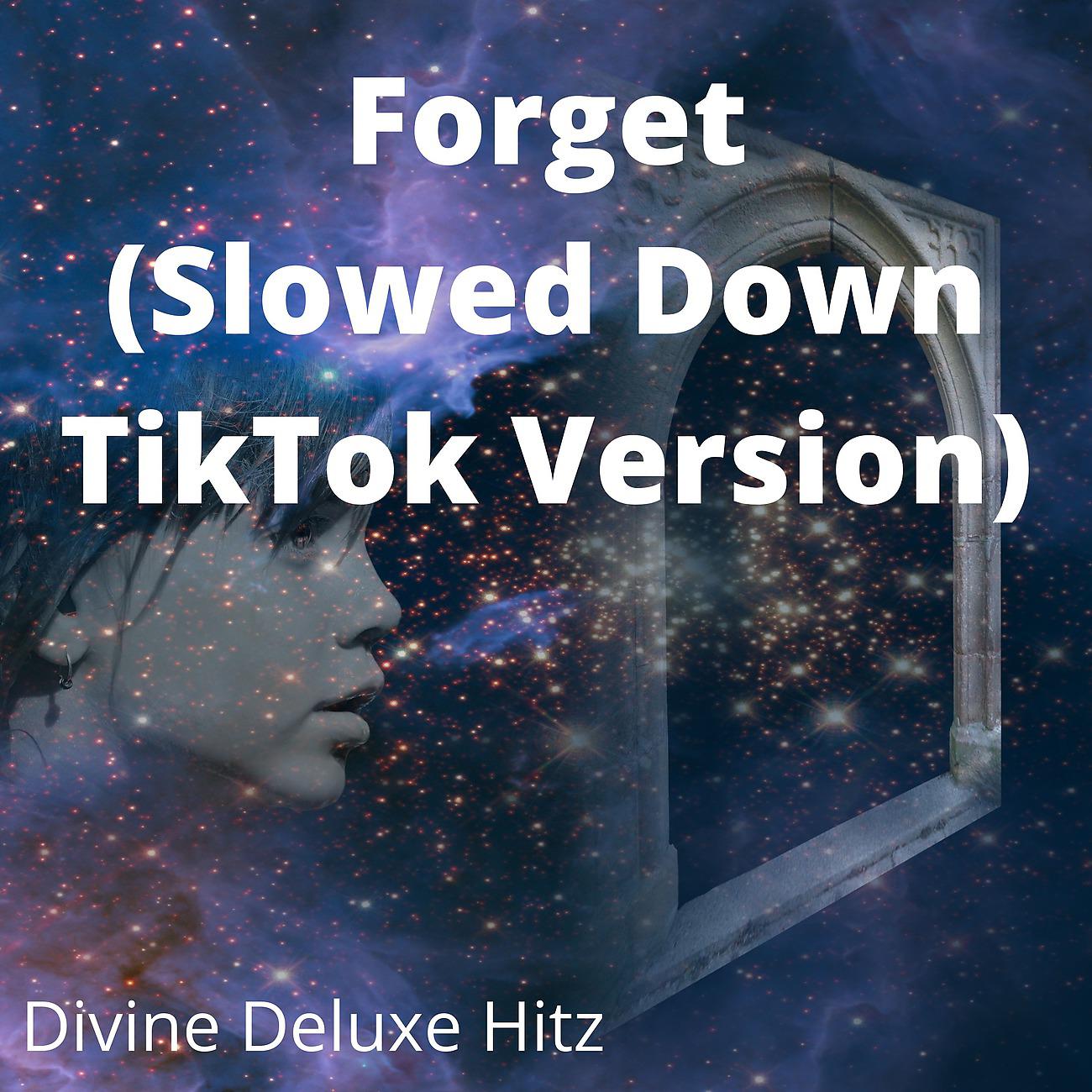 Постер альбома Forget (Slowed Down TikTok Version)