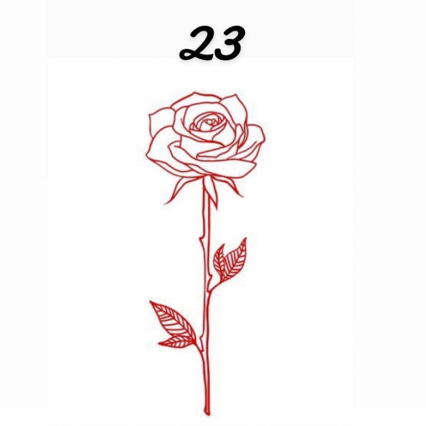 Постер альбома 23 Roses