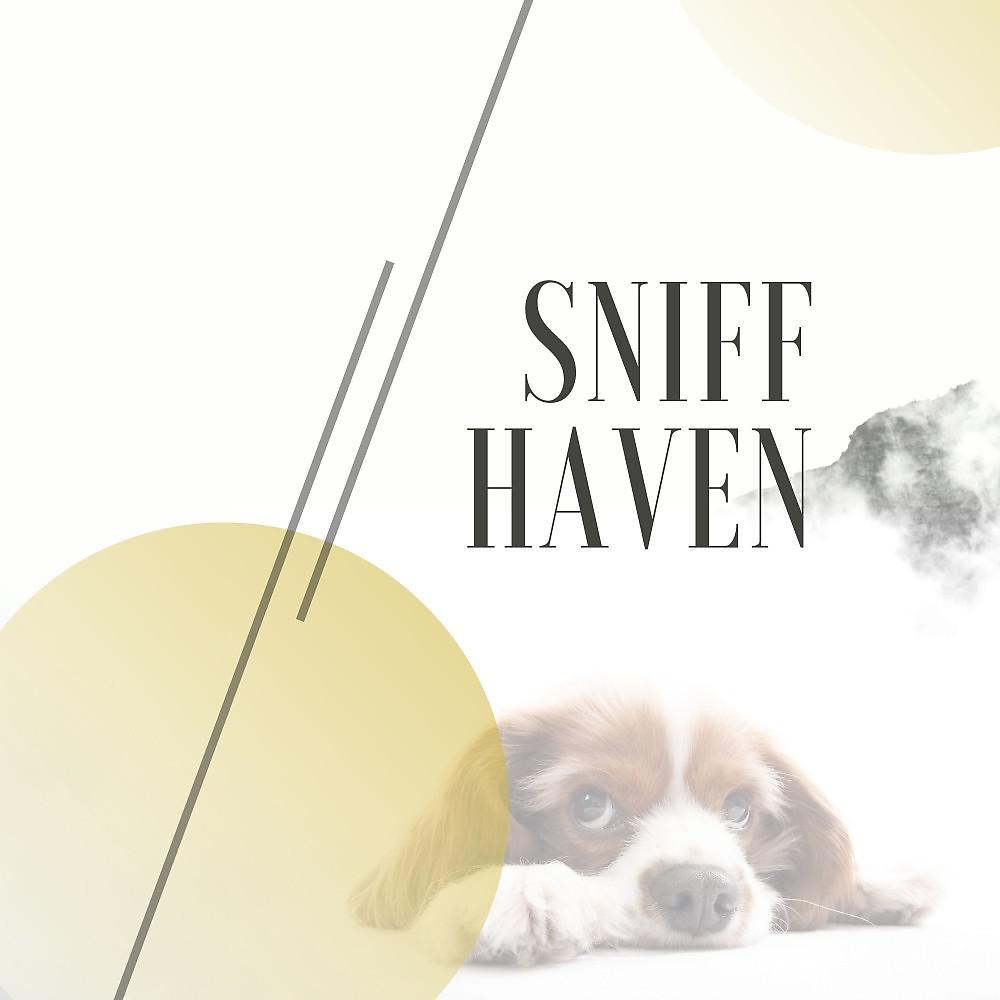 Постер альбома Sniff Haven