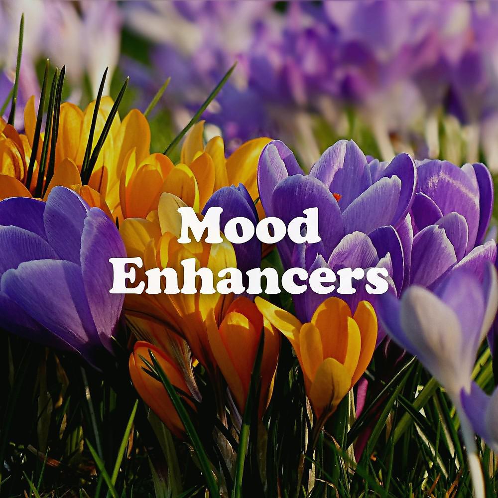 Постер альбома Mood Enhancers
