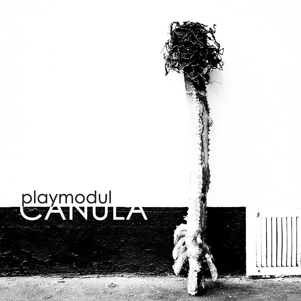 Постер альбома Canula