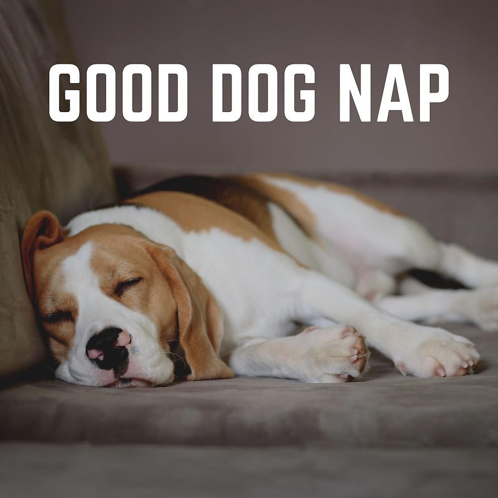 Постер альбома Good Dog Nap