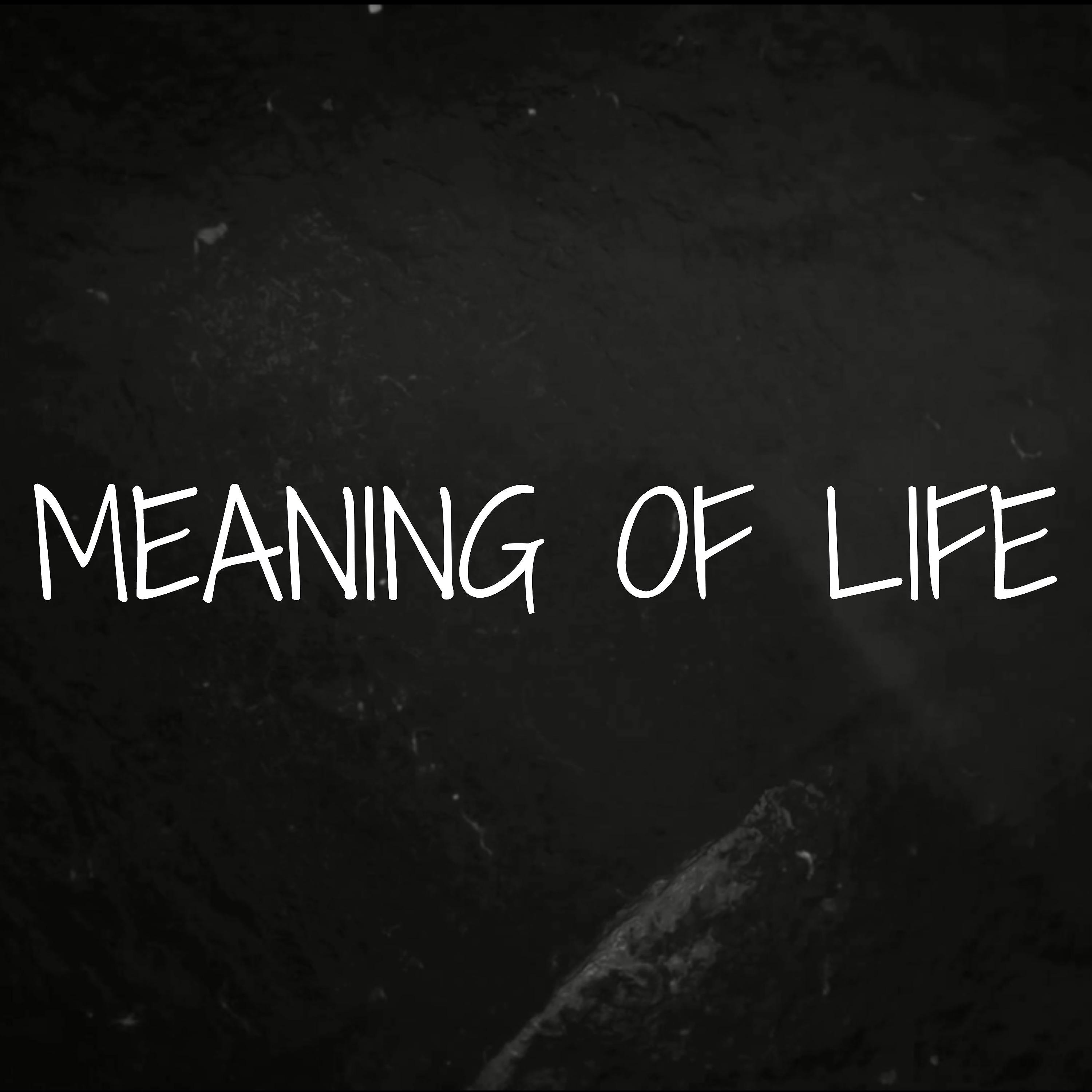 Постер альбома Meaning Of Life