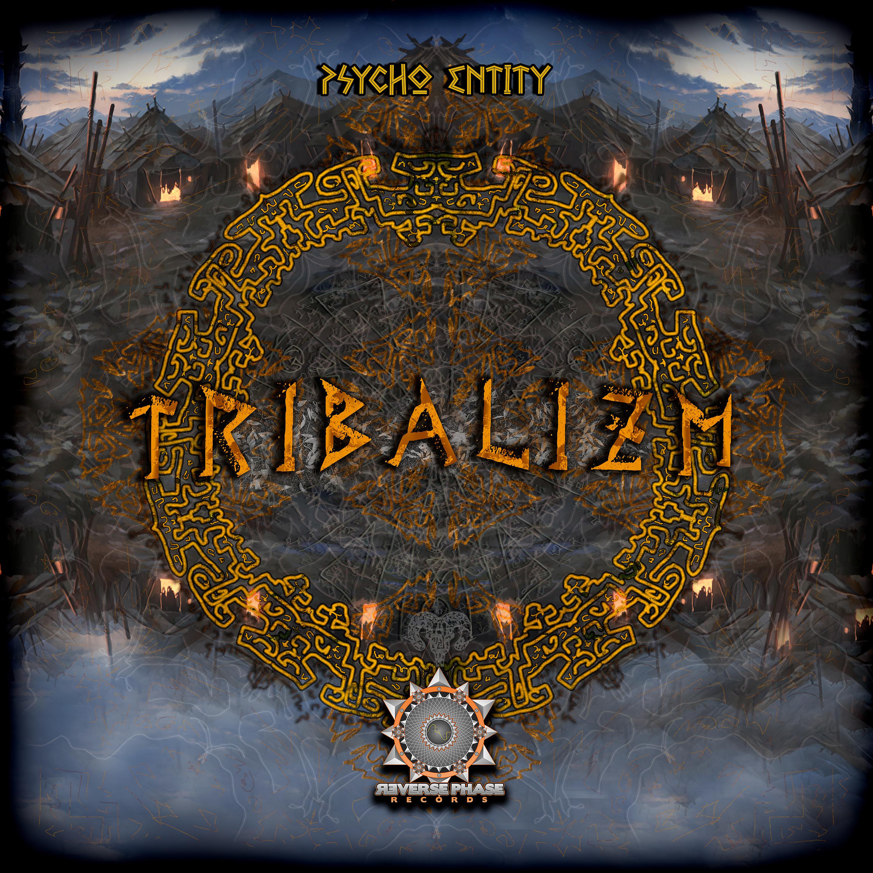 Постер альбома Tribalizm