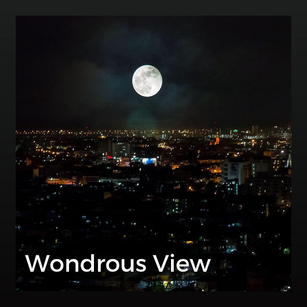 Постер альбома Wondrous View