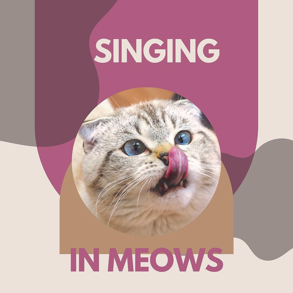 Music For Cats Peace - To My Furry Friend