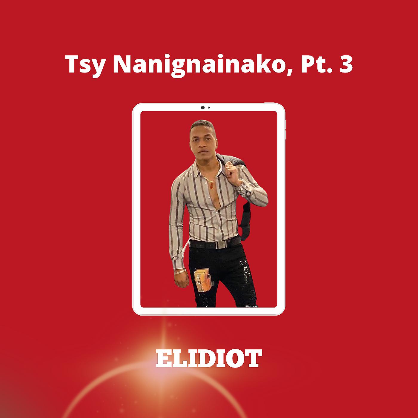 Постер альбома Tsy Nanignainako, Pt. 3