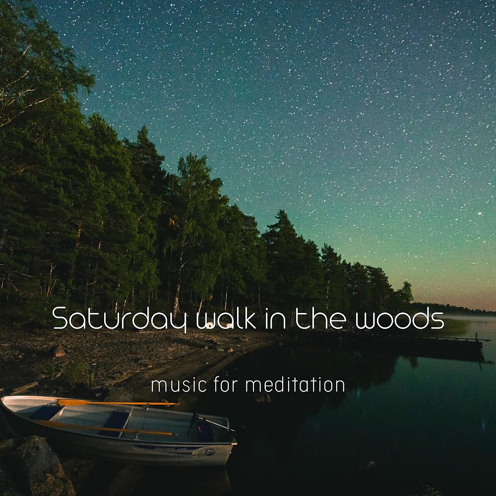 Постер альбома Saturday walk in the woods (Music for meditation)