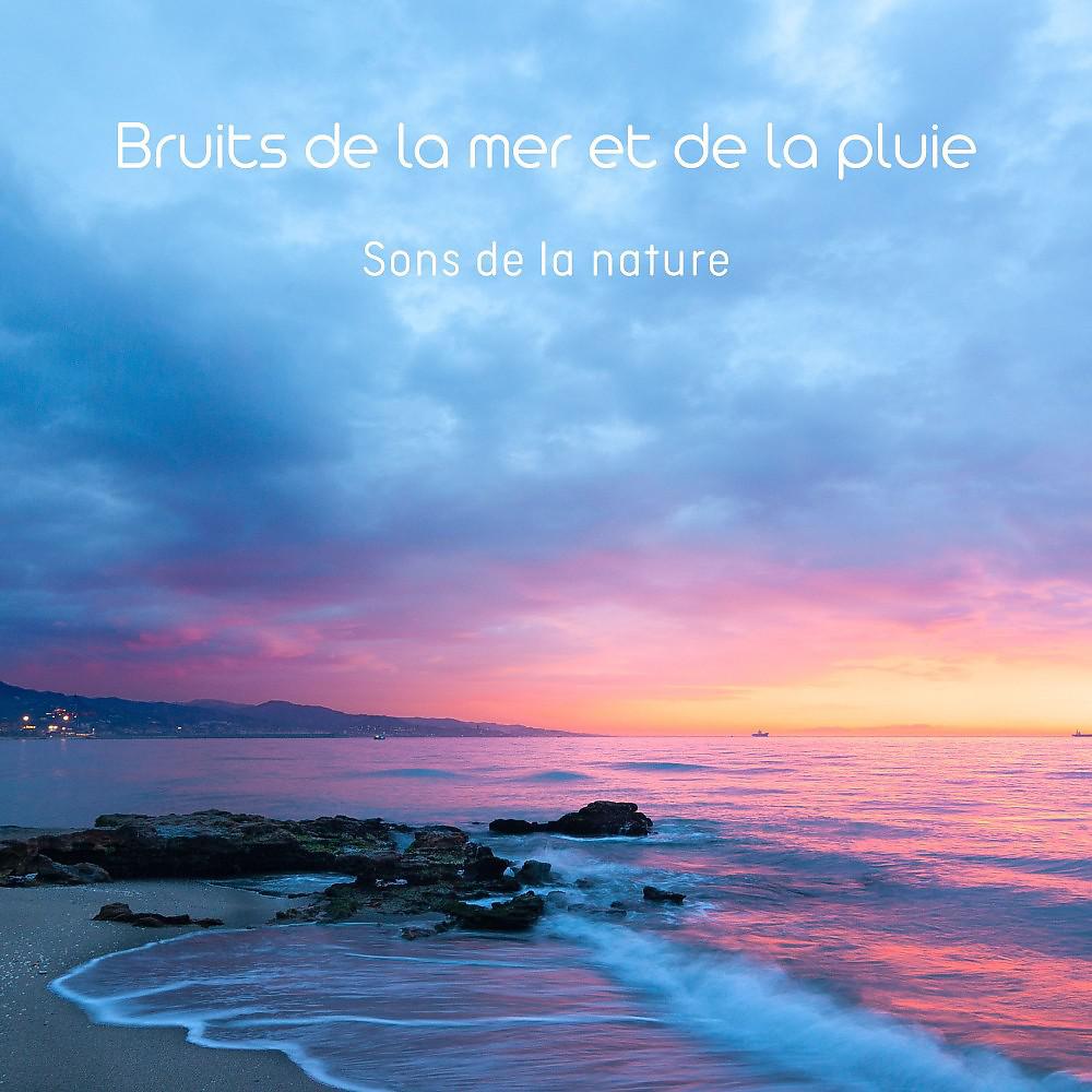 Постер альбома Bruits de la mer et de la pluie (Sons de la nature)