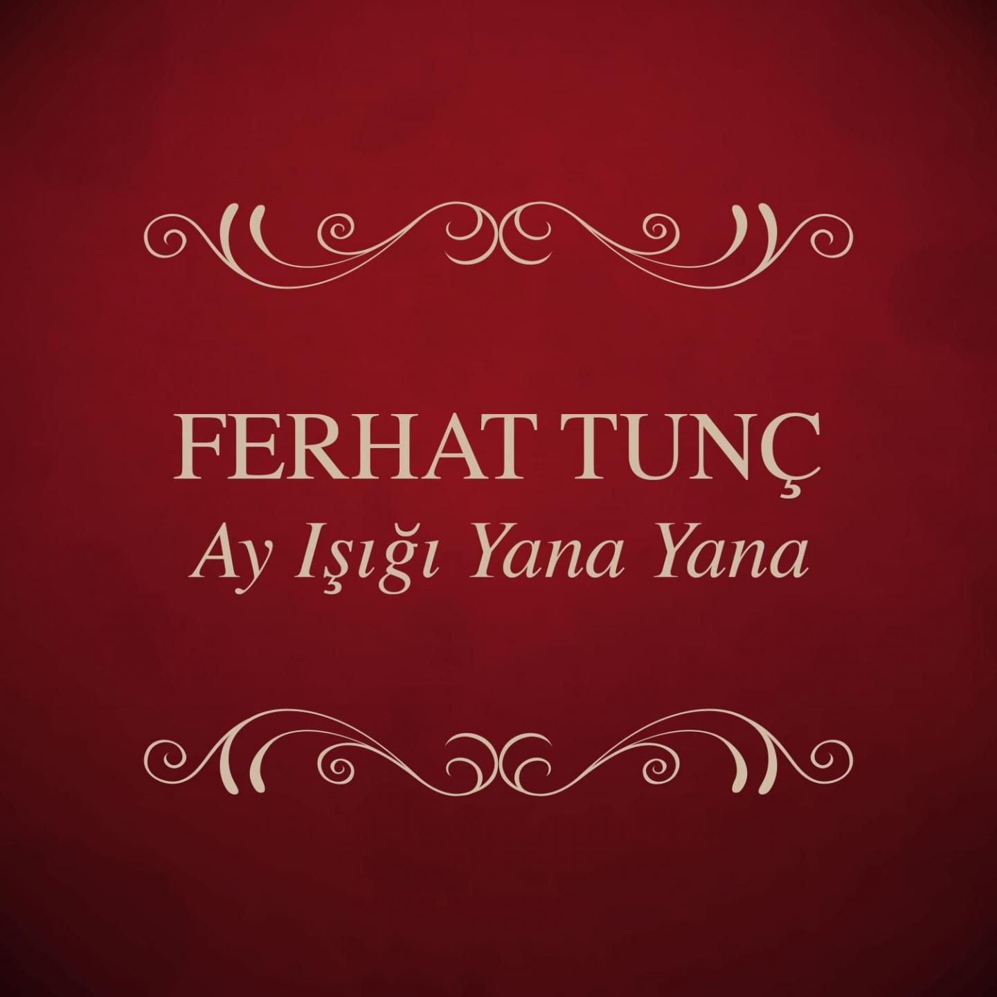 Постер альбома Ay Işığı Yana Yana