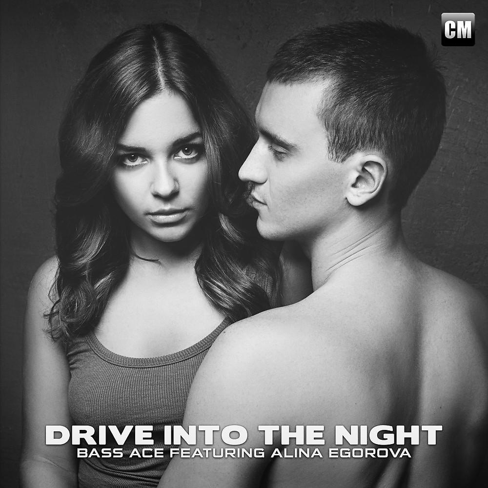 Постер альбома Drive into the Night