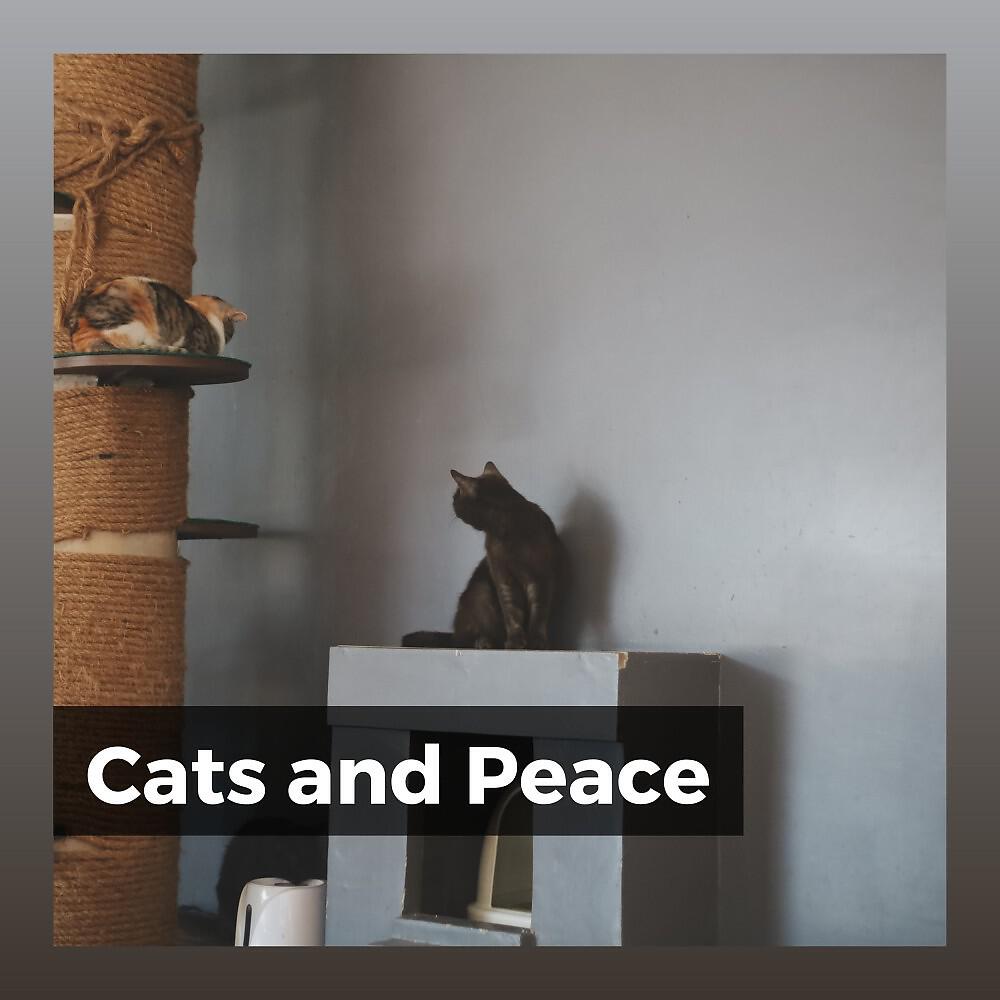 Music For Cats Peace - Secret in Having Nine Lives