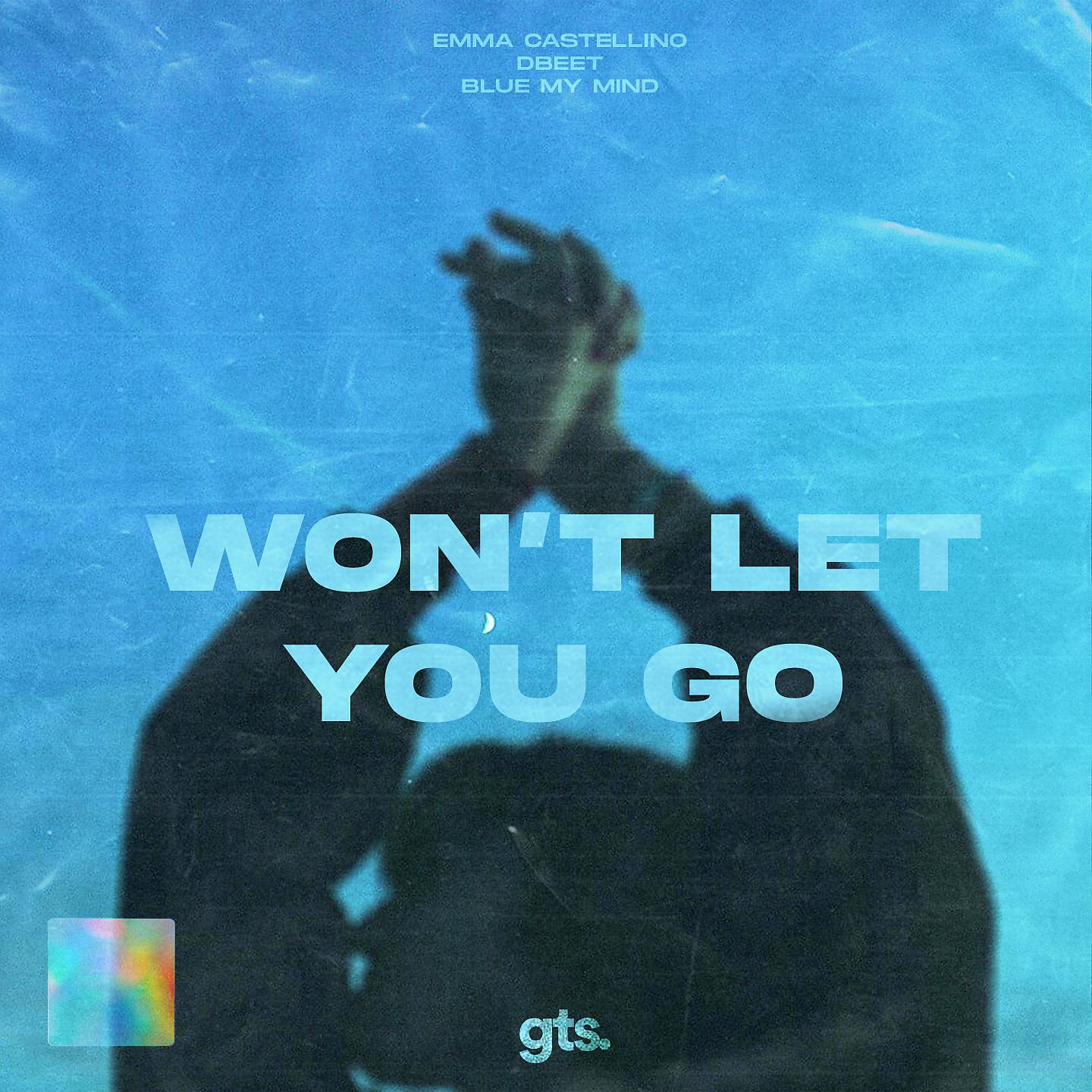 Постер альбома Won't Let You Go