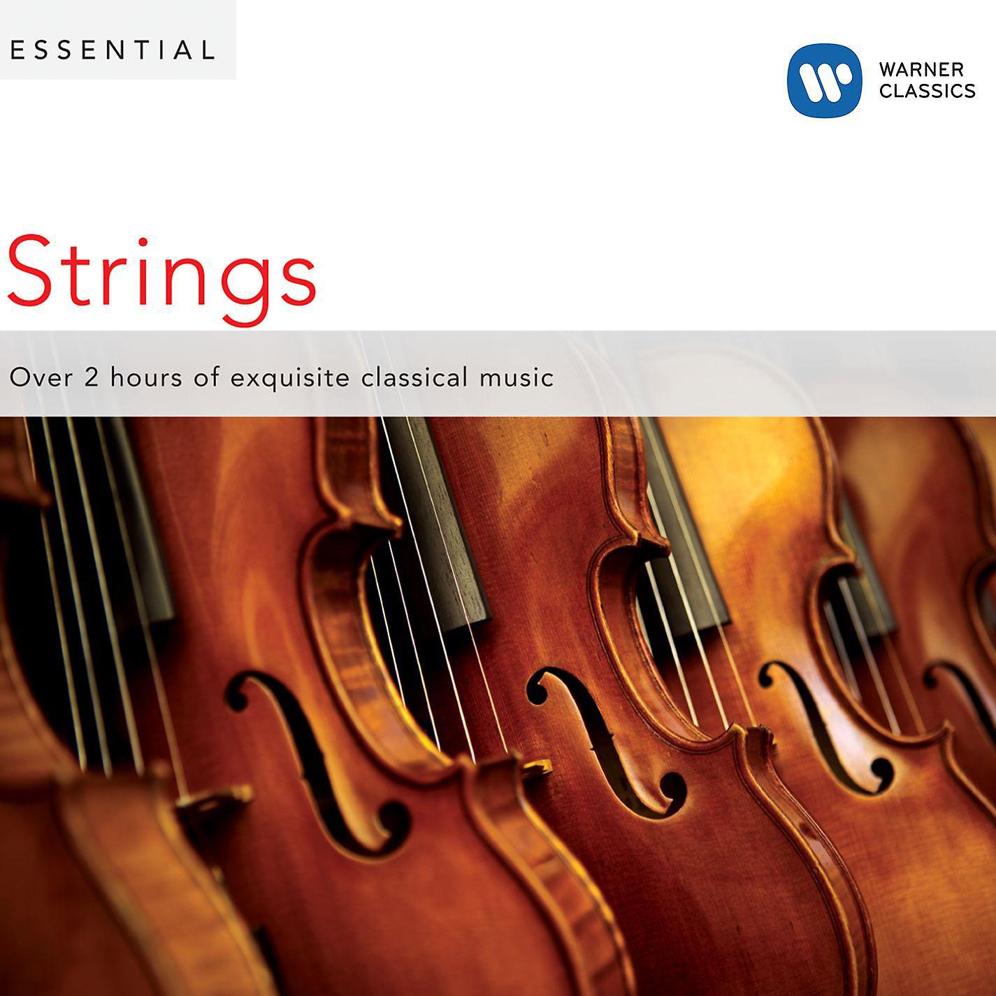 Постер альбома Essential Strings