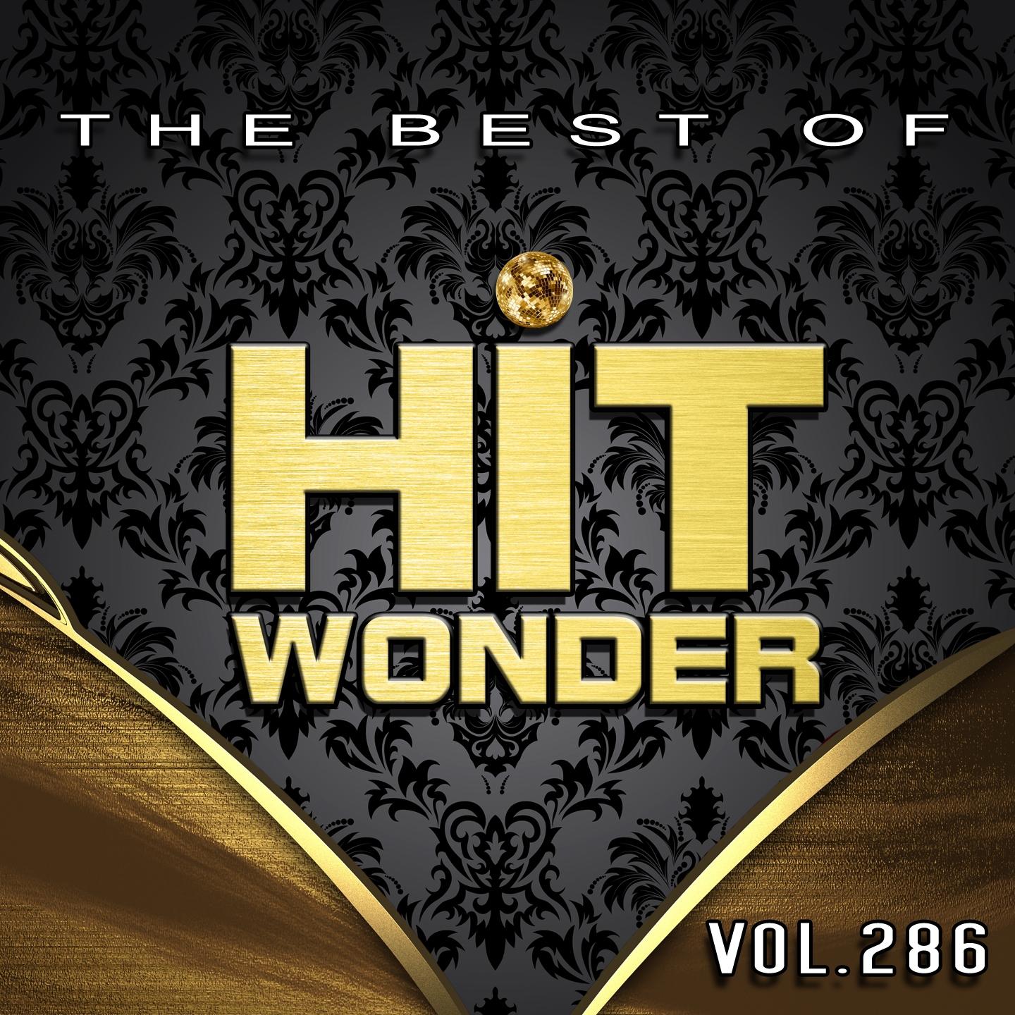 Постер альбома Hit Wonder: The Best Of, Vol. 286