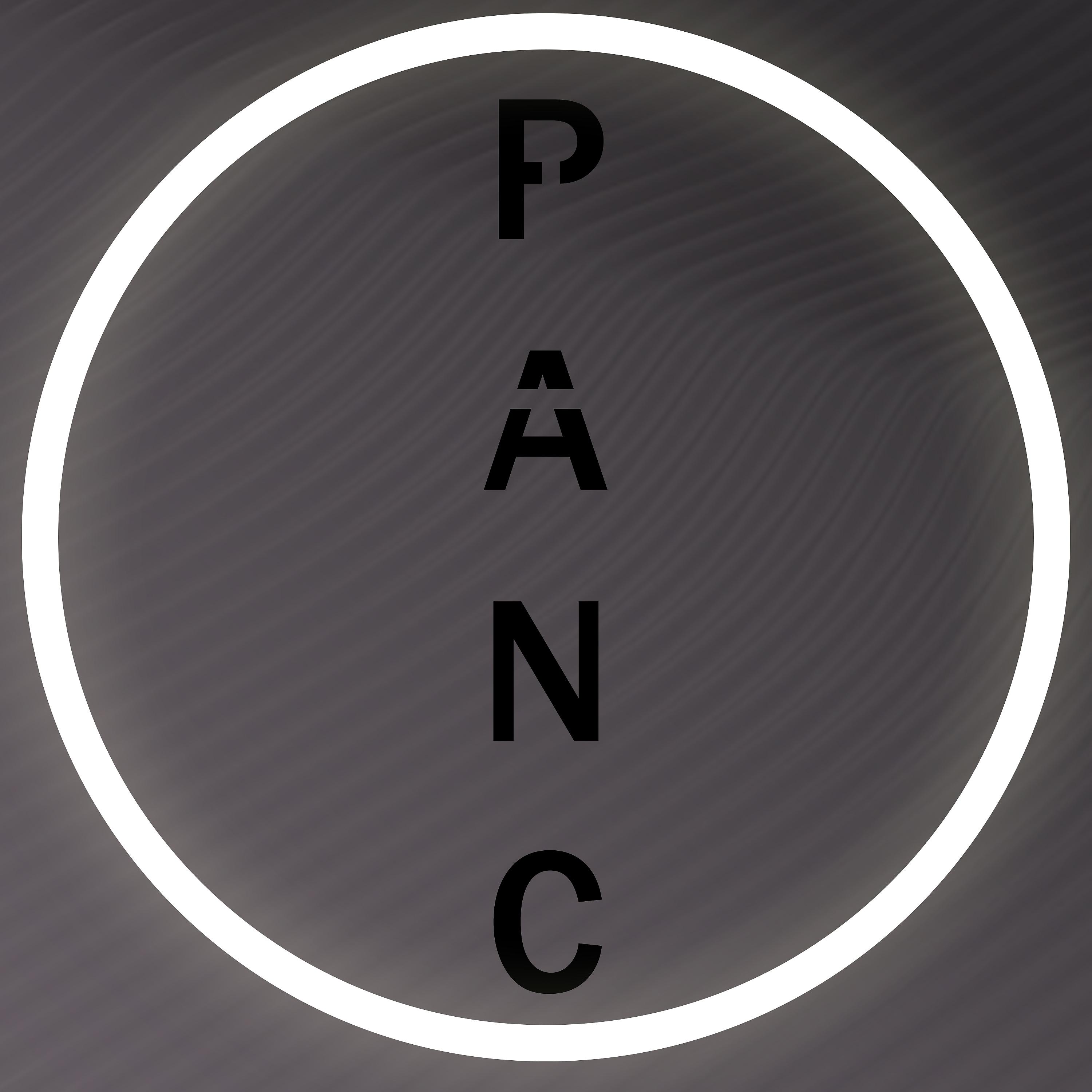 Постер альбома Panc